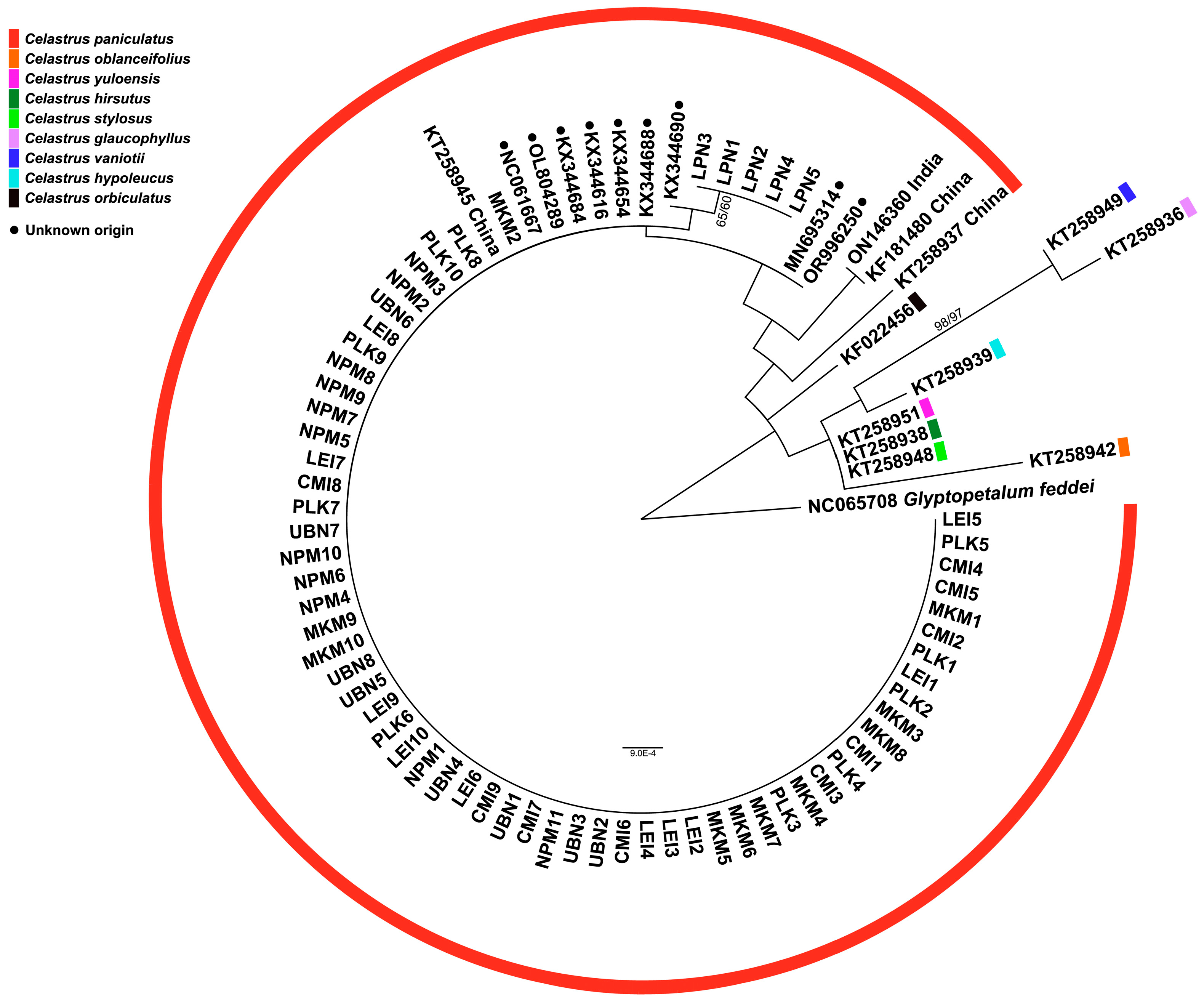 Biology 14 00725 g005