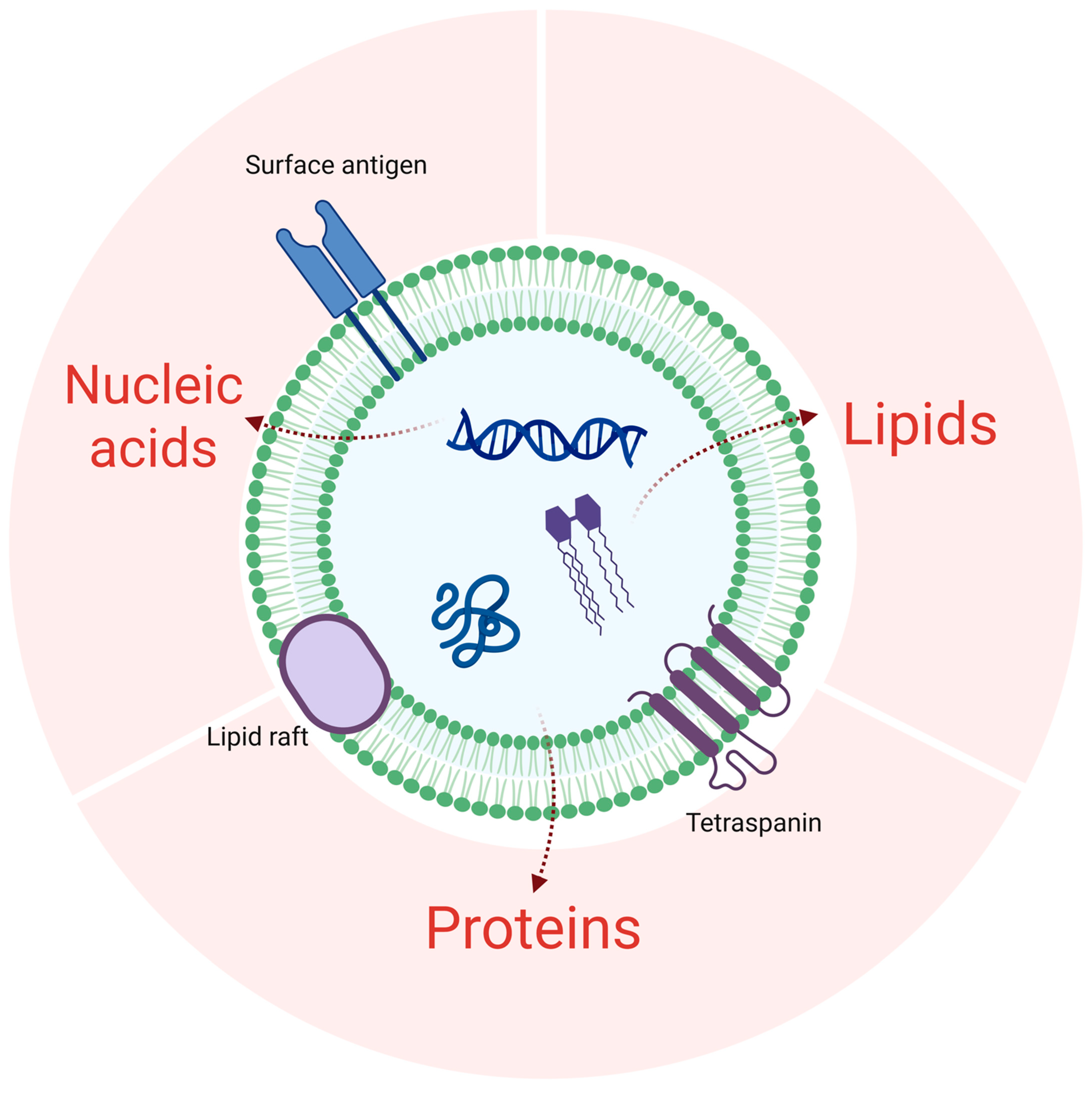 Biology 14 00726 g007