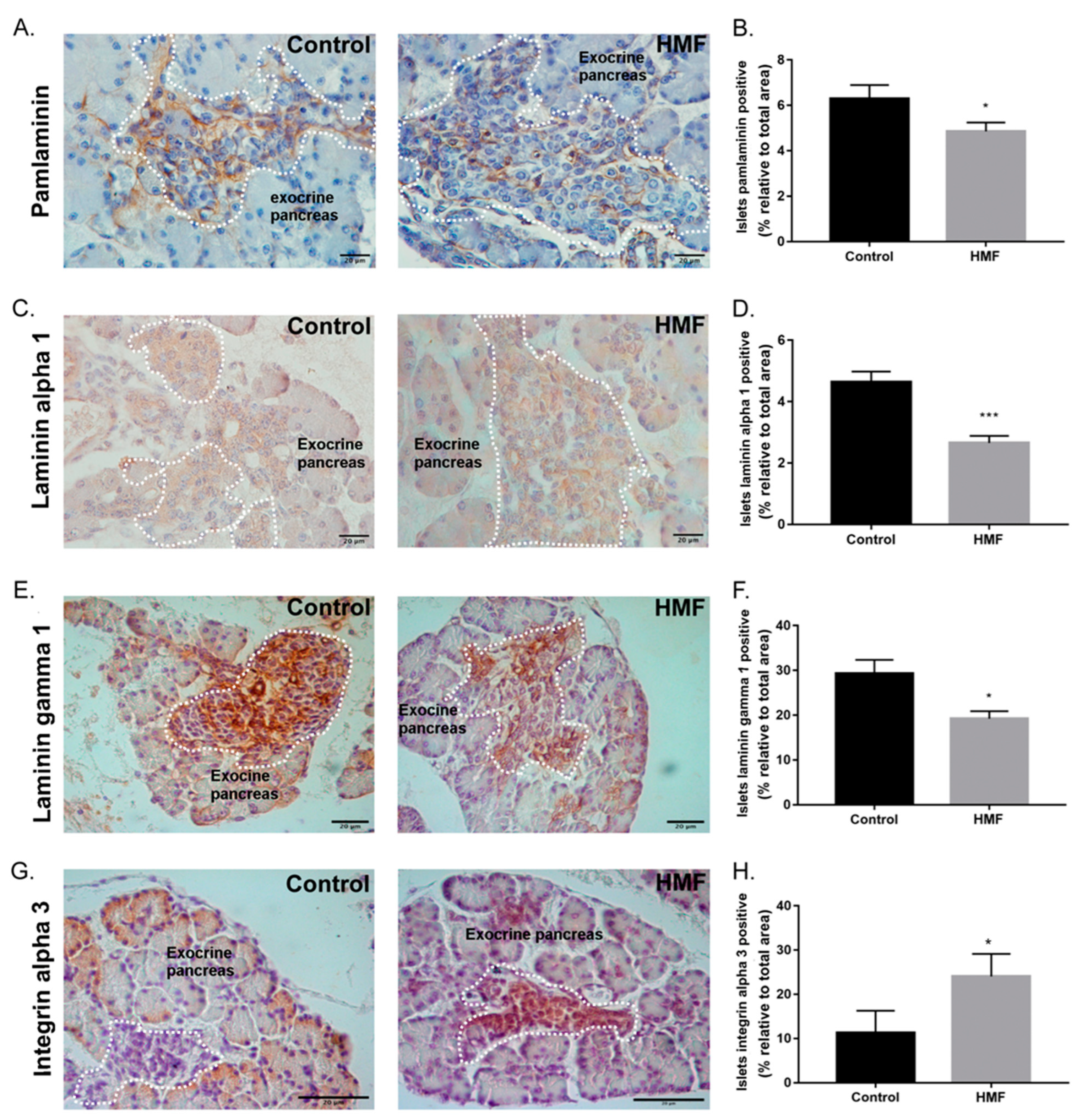 Biology 14 00728 g003