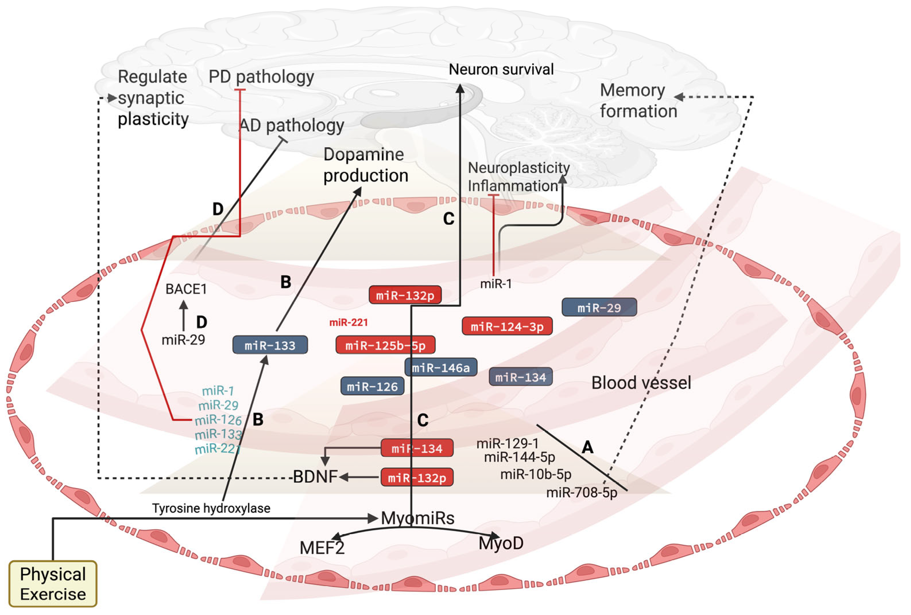 Biology 14 00729 g001