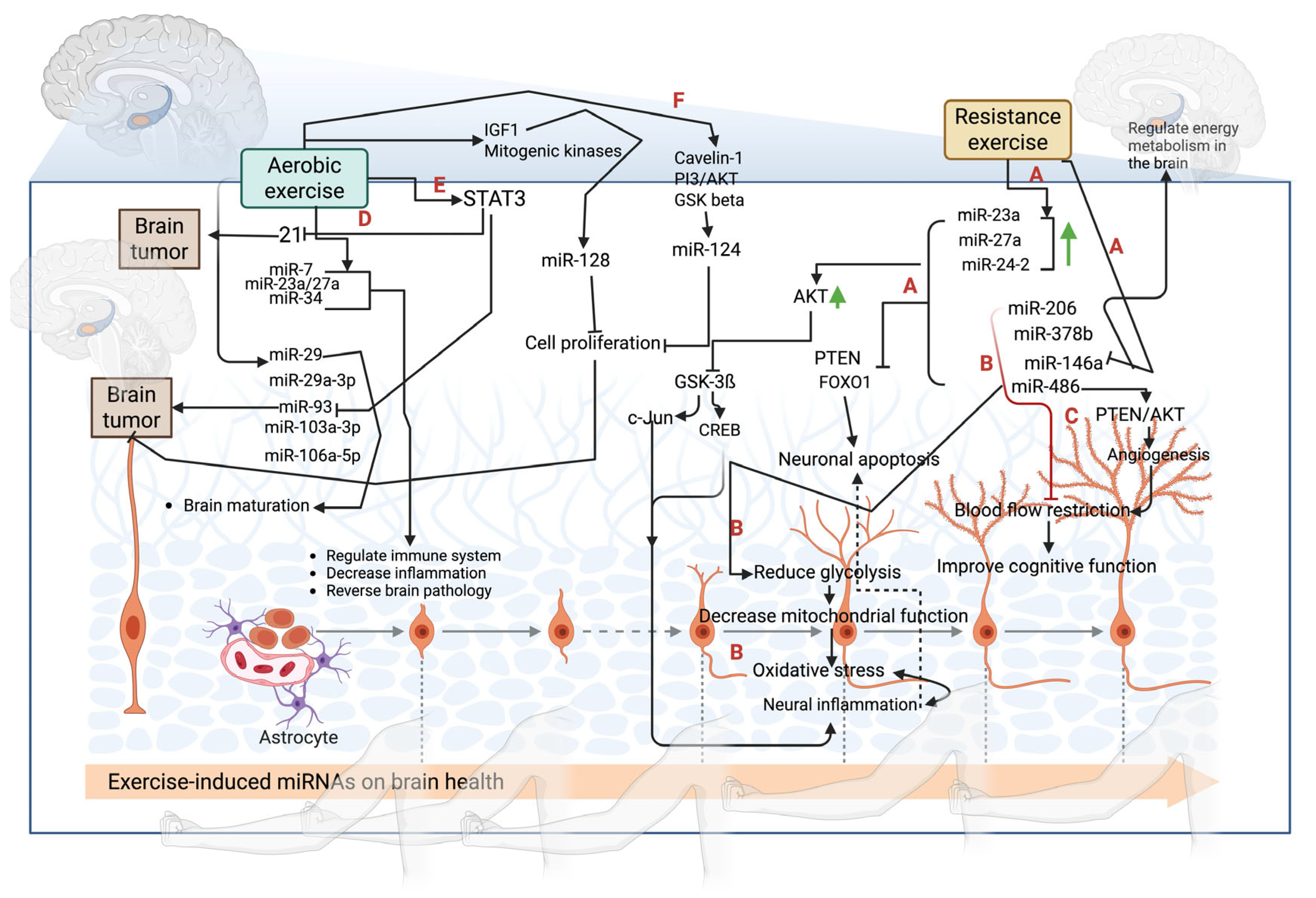Biology 14 00729 g002
