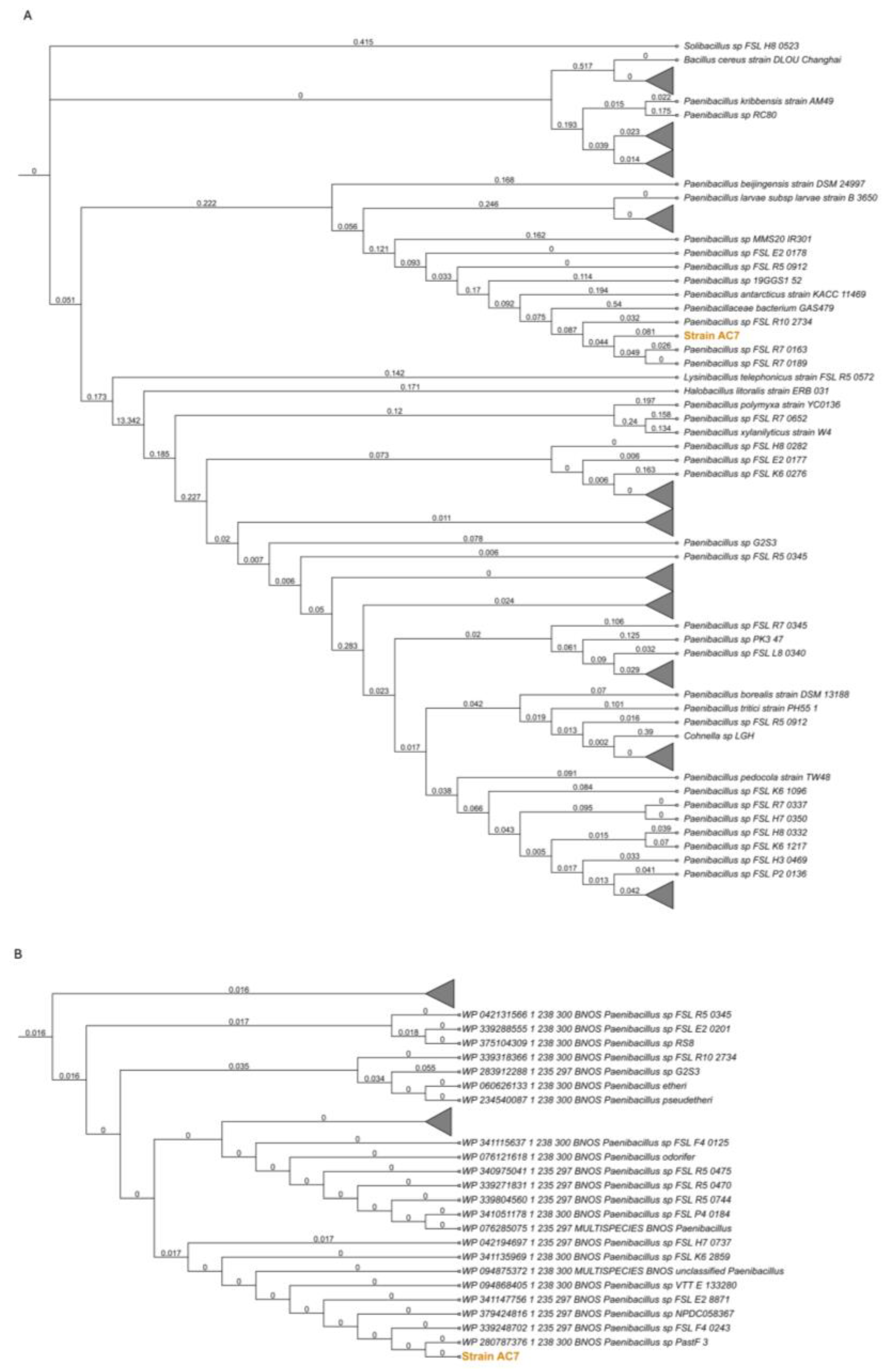 Biology 14 00733 g001