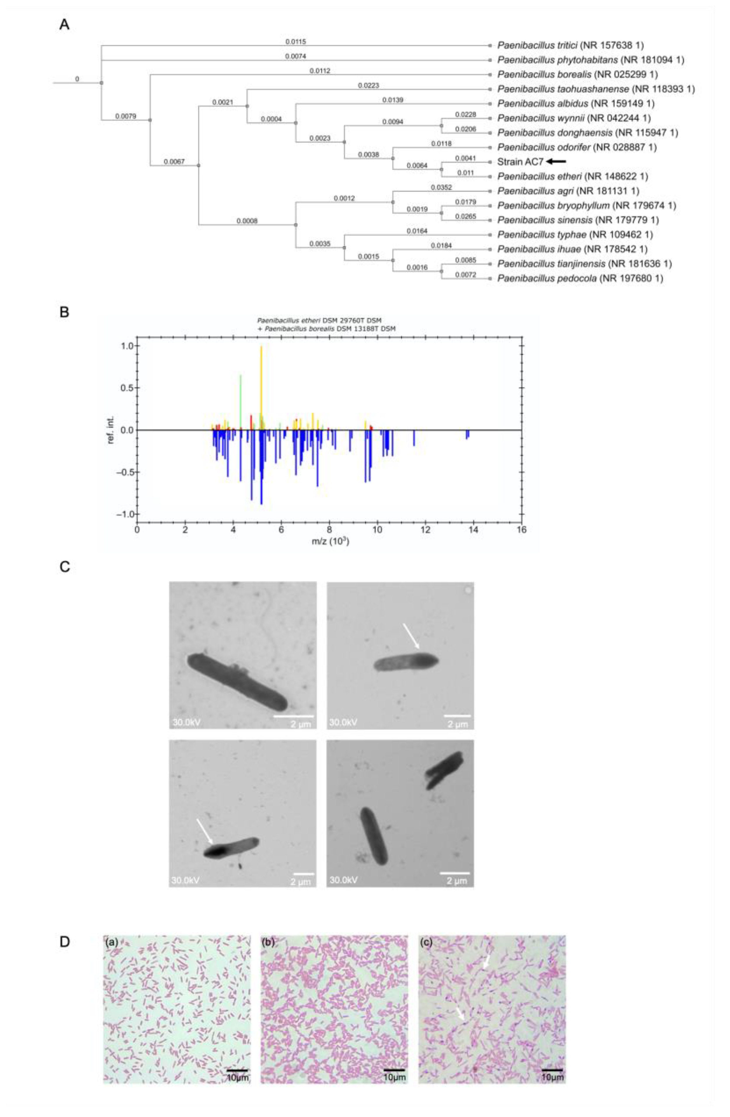 Biology 14 00733 g002