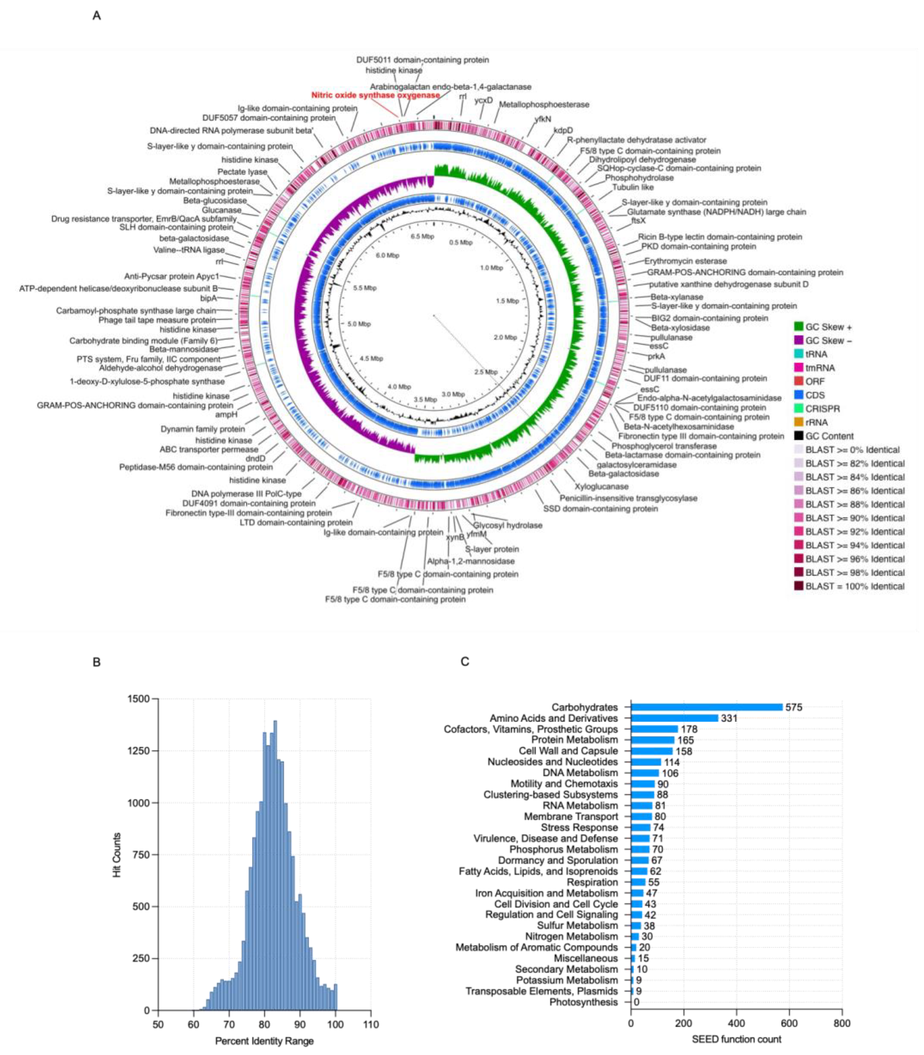 Biology 14 00733 g005