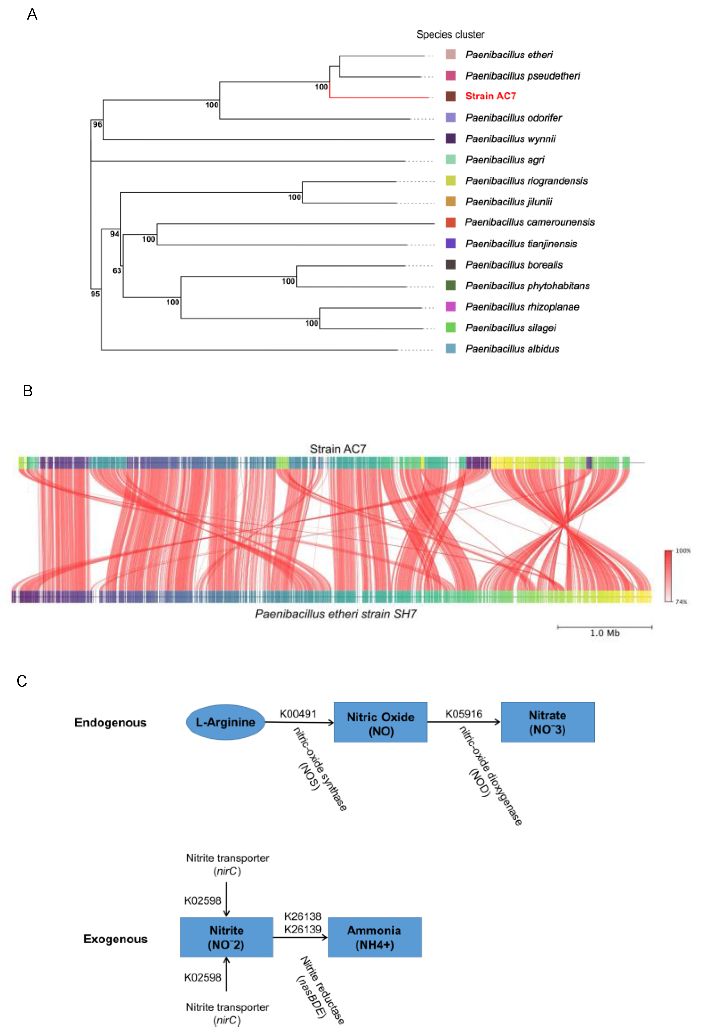 Biology 14 00733 g006