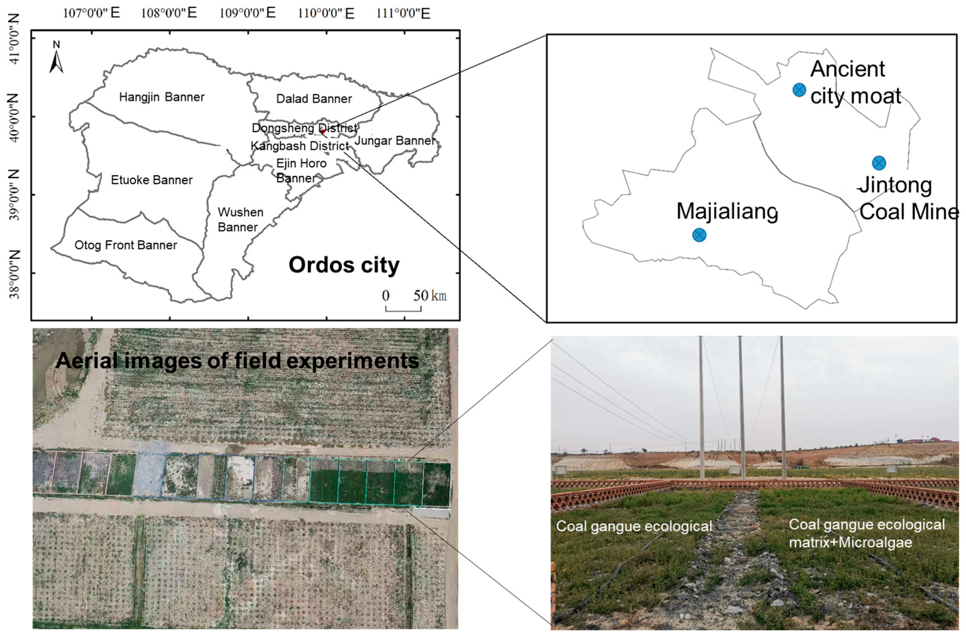 Coal Gangue Ecological Matrix Coupled with Microalgae for