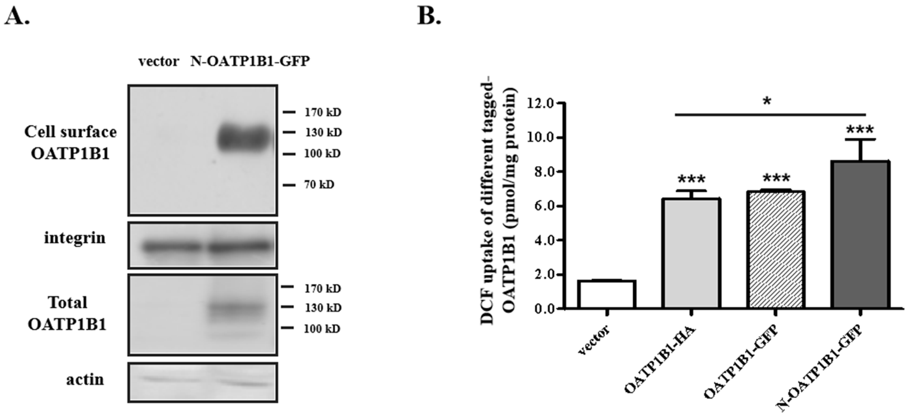 Biology 14 00744 g001