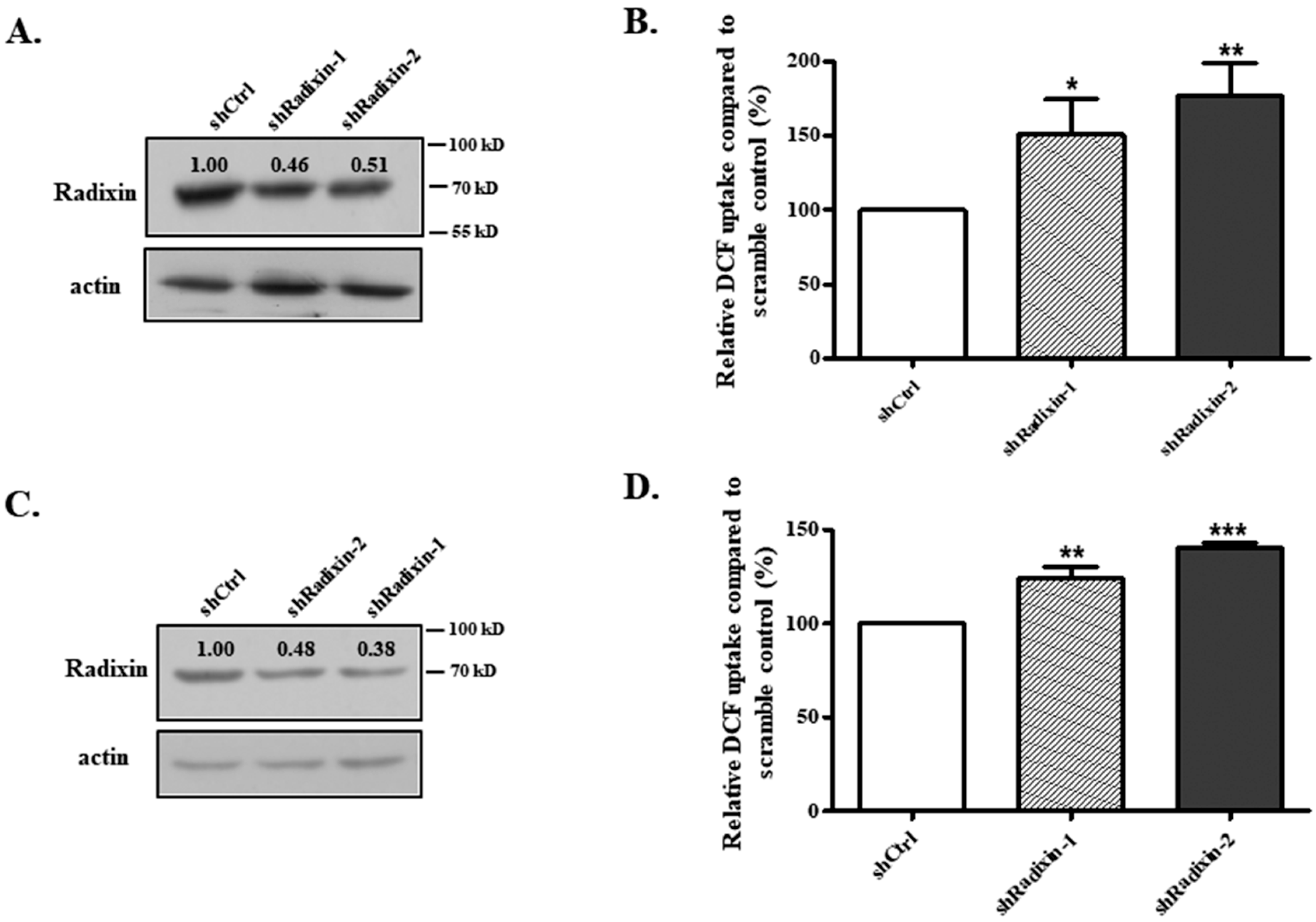 Biology 14 00744 g002