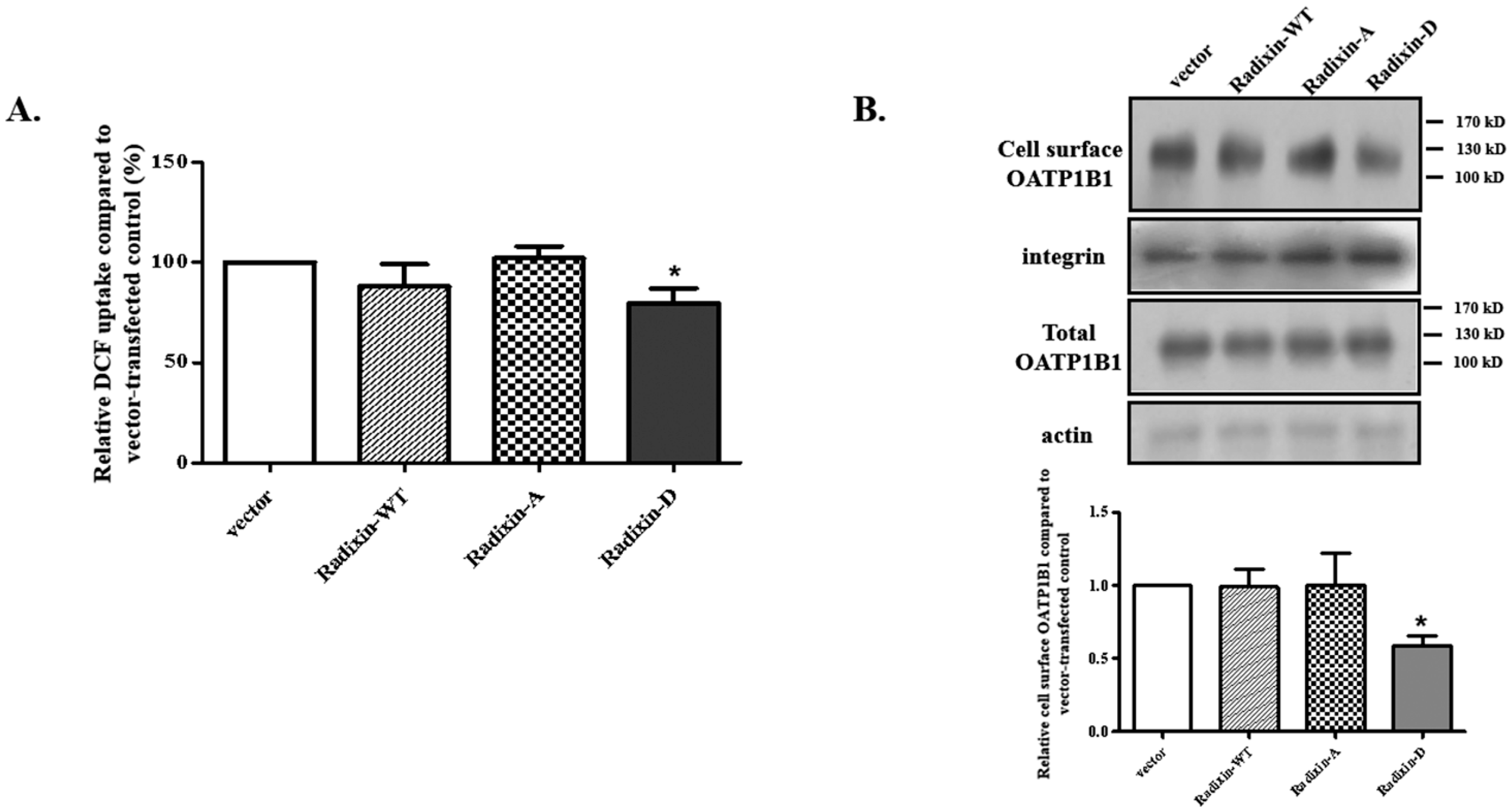 Biology 14 00744 g003
