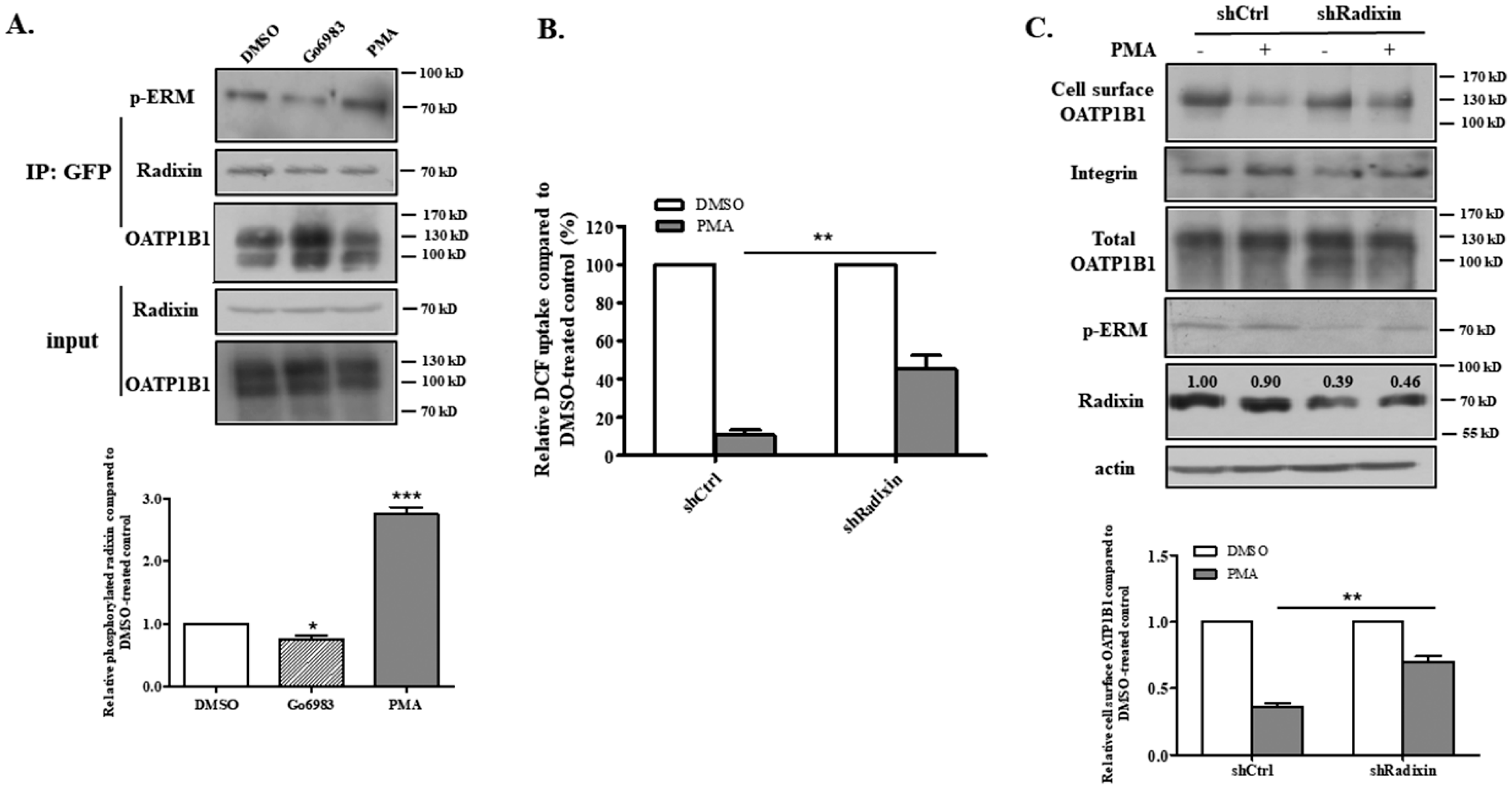 Biology 14 00744 g005