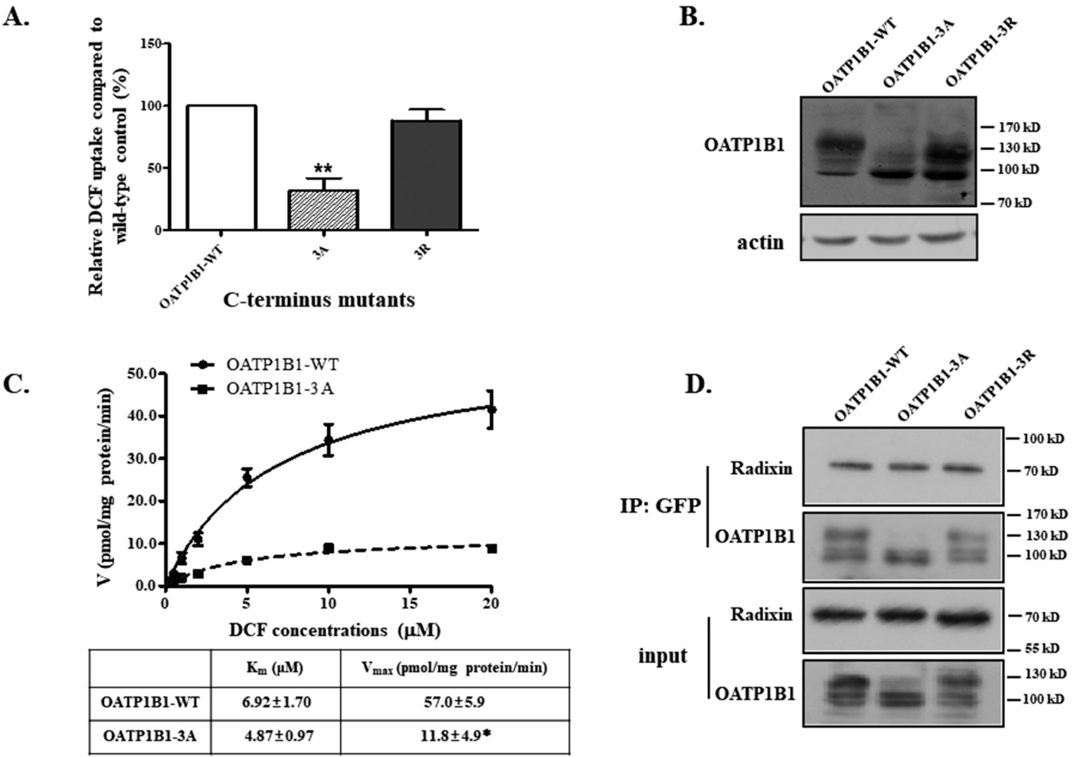 Biology 14 00744 g006