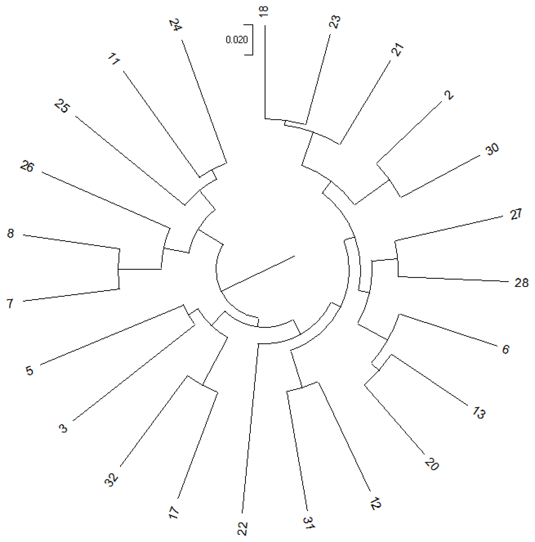 Biology 14 00745 g001
