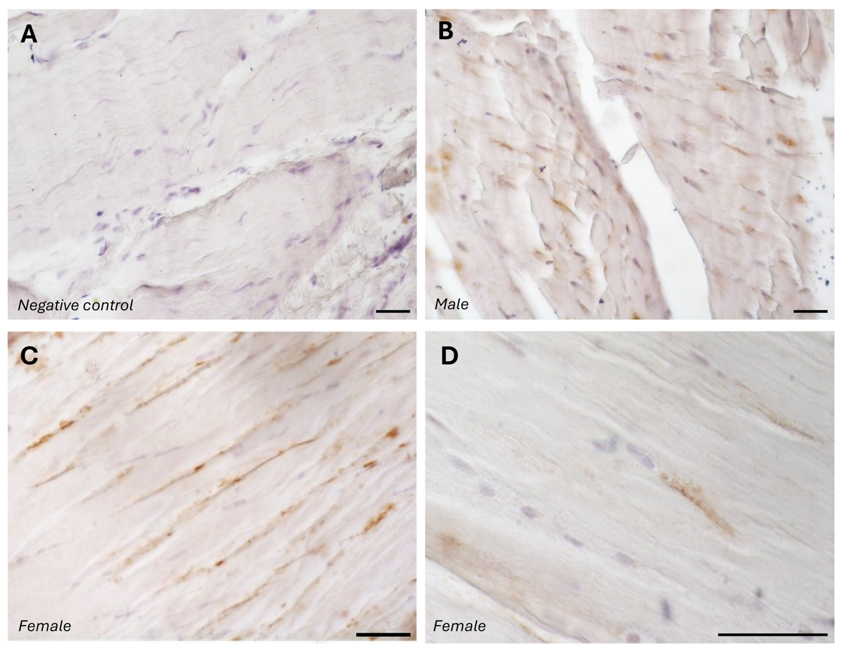Biology 14 00746 g001