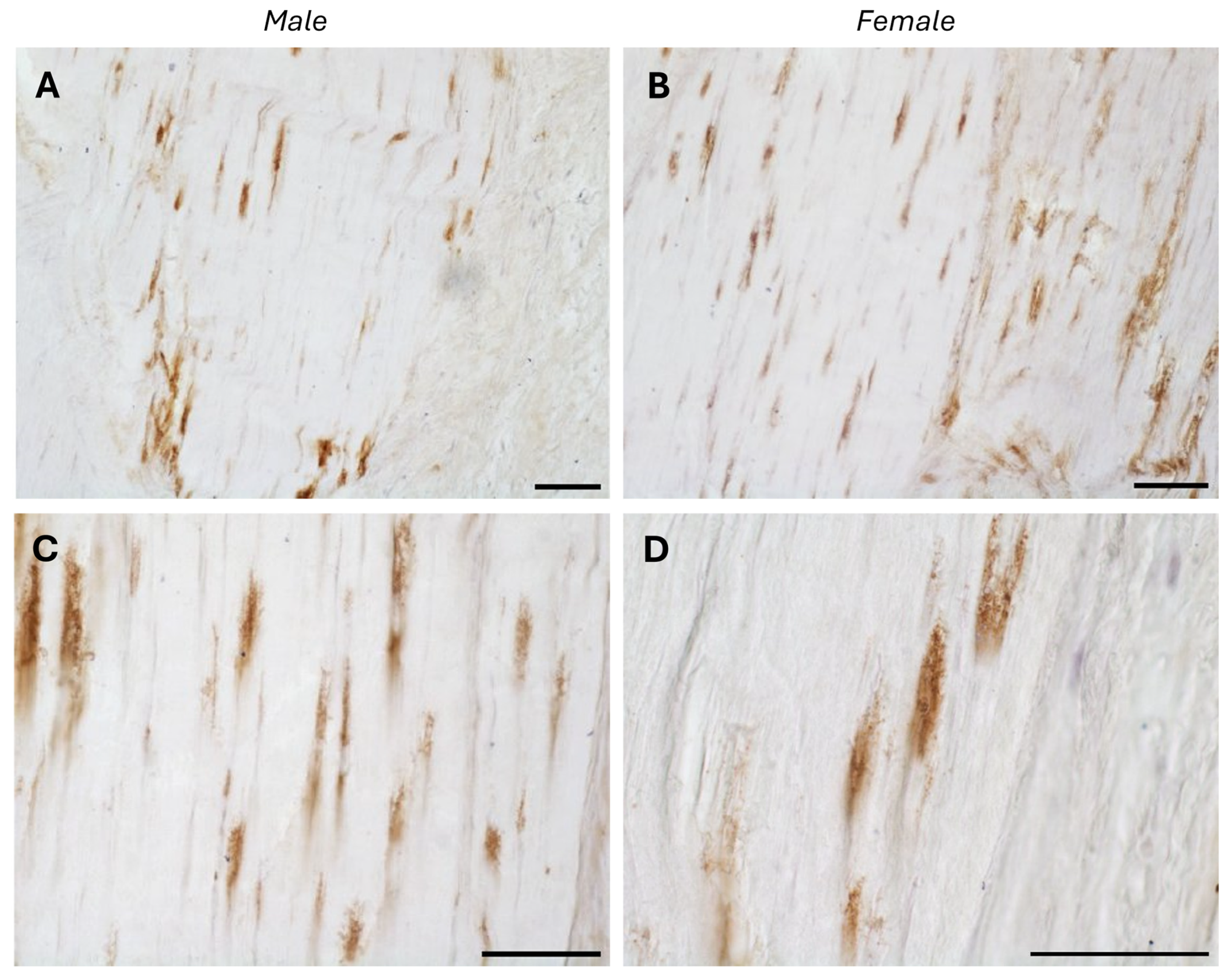 Biology 14 00746 g002