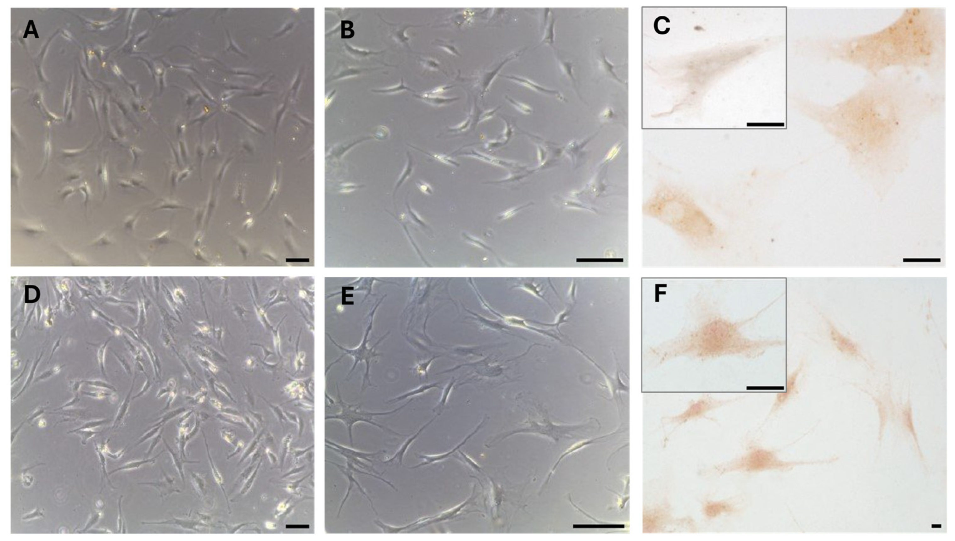 Biology 14 00746 g003