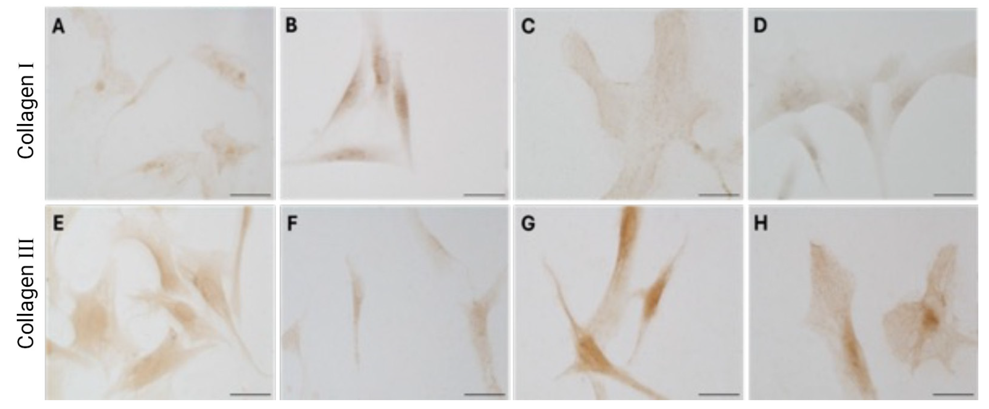 Biology 14 00746 g006