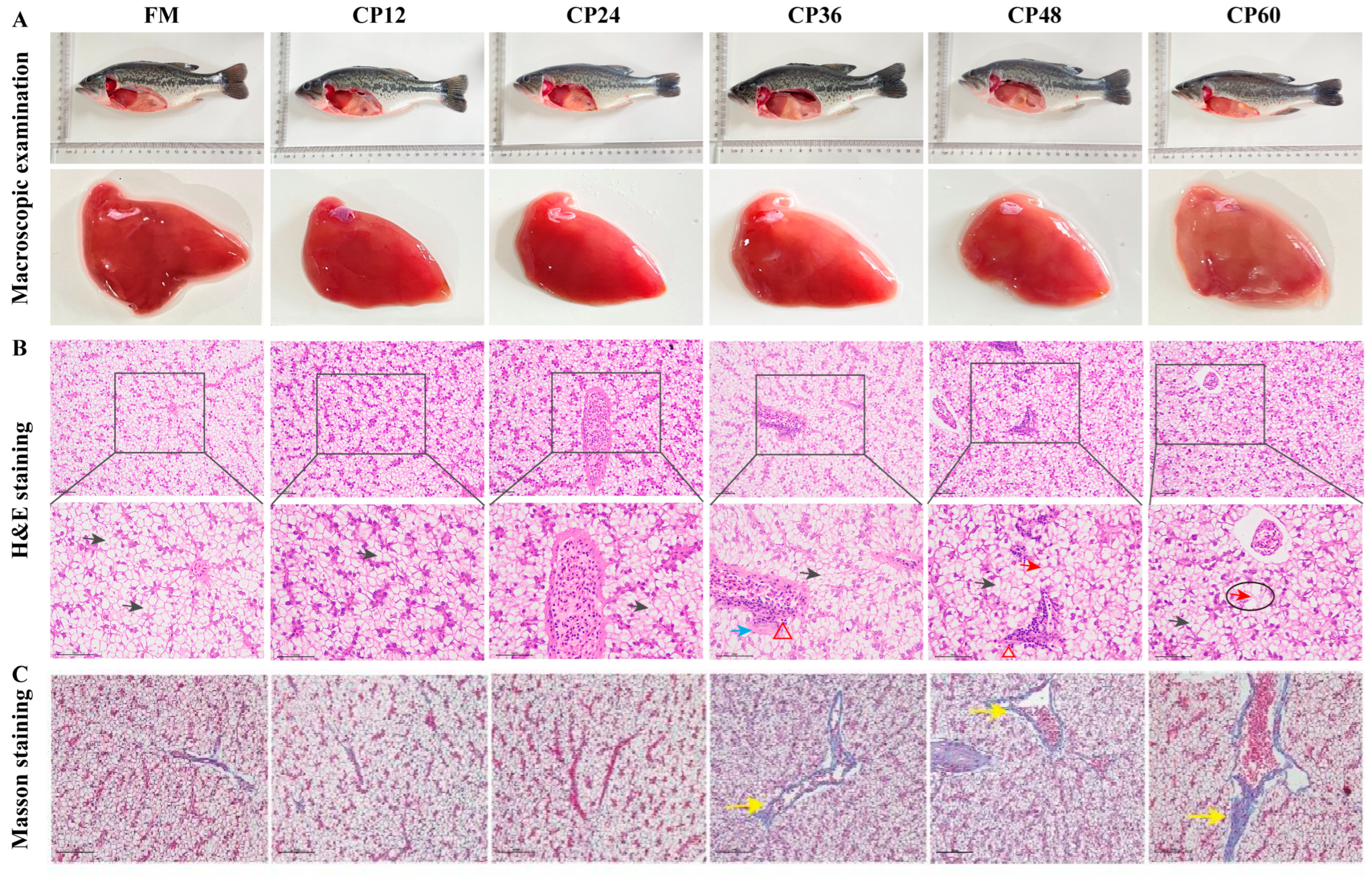 Biology 14 00748 g002