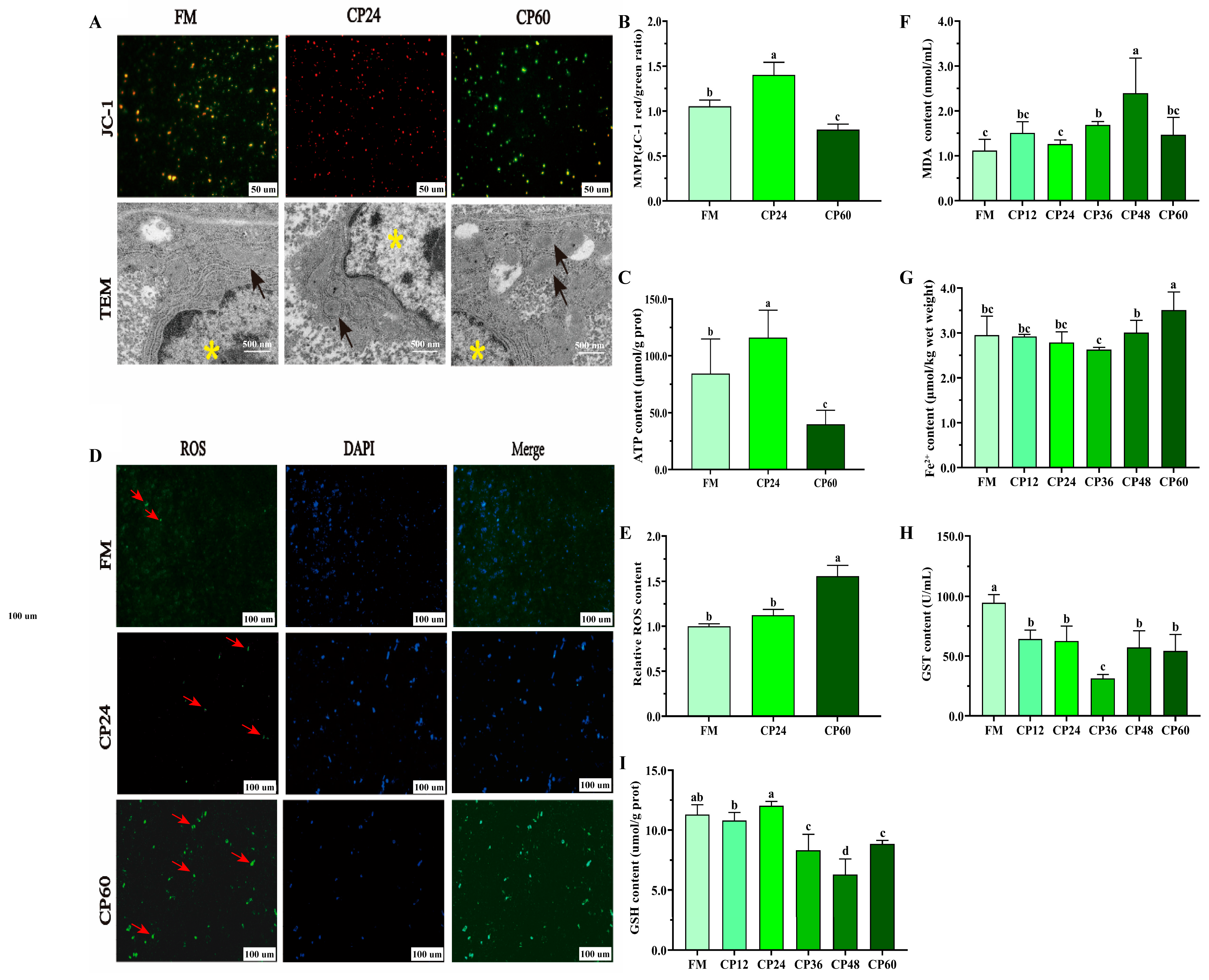 Biology 14 00748 g004
