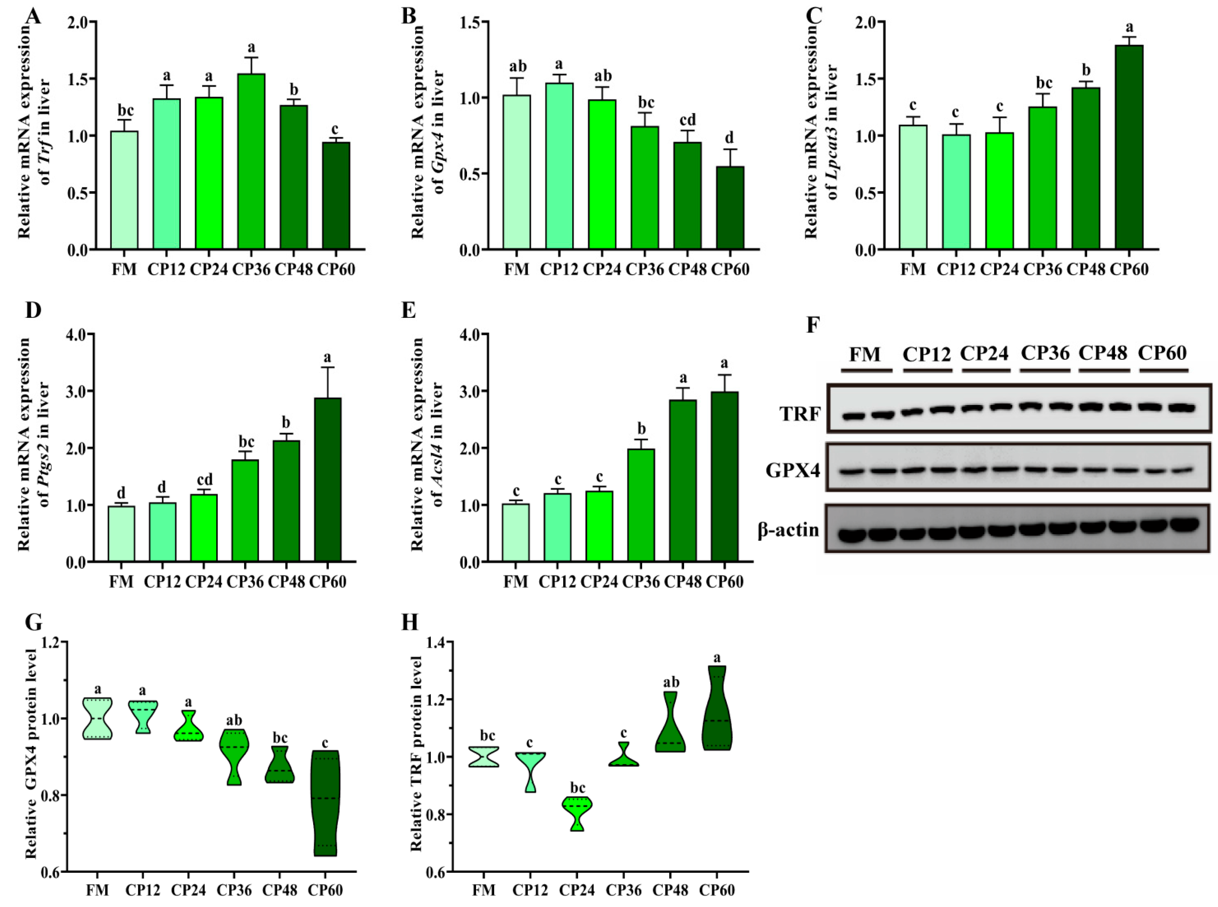 Biology 14 00748 g005