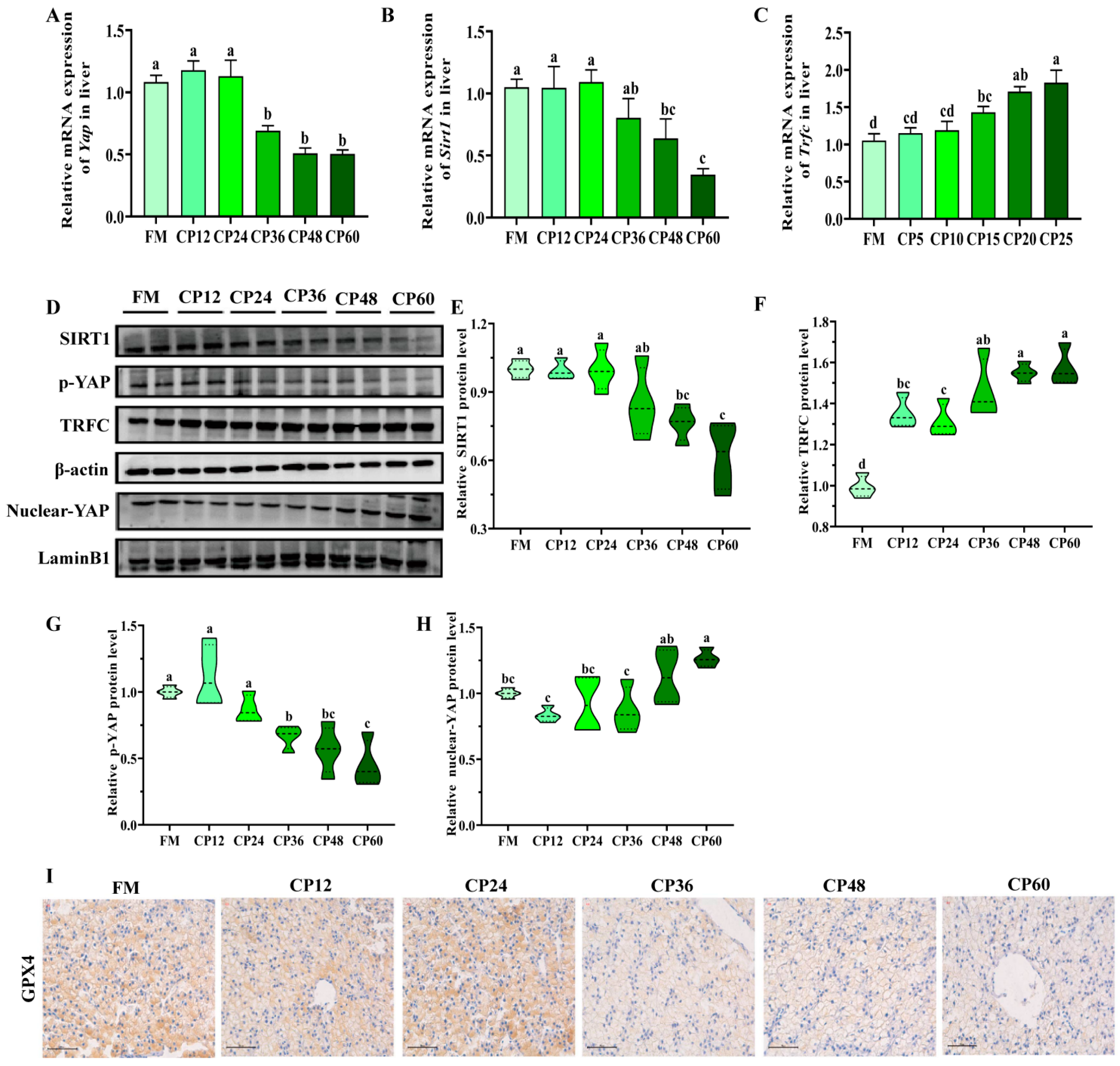 Biology 14 00748 g006