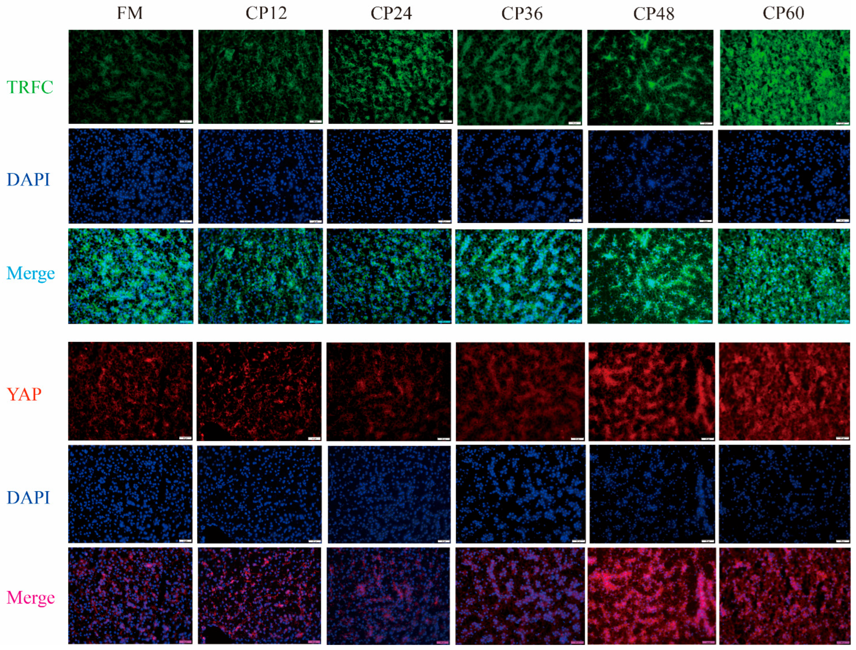 Biology 14 00748 g007
