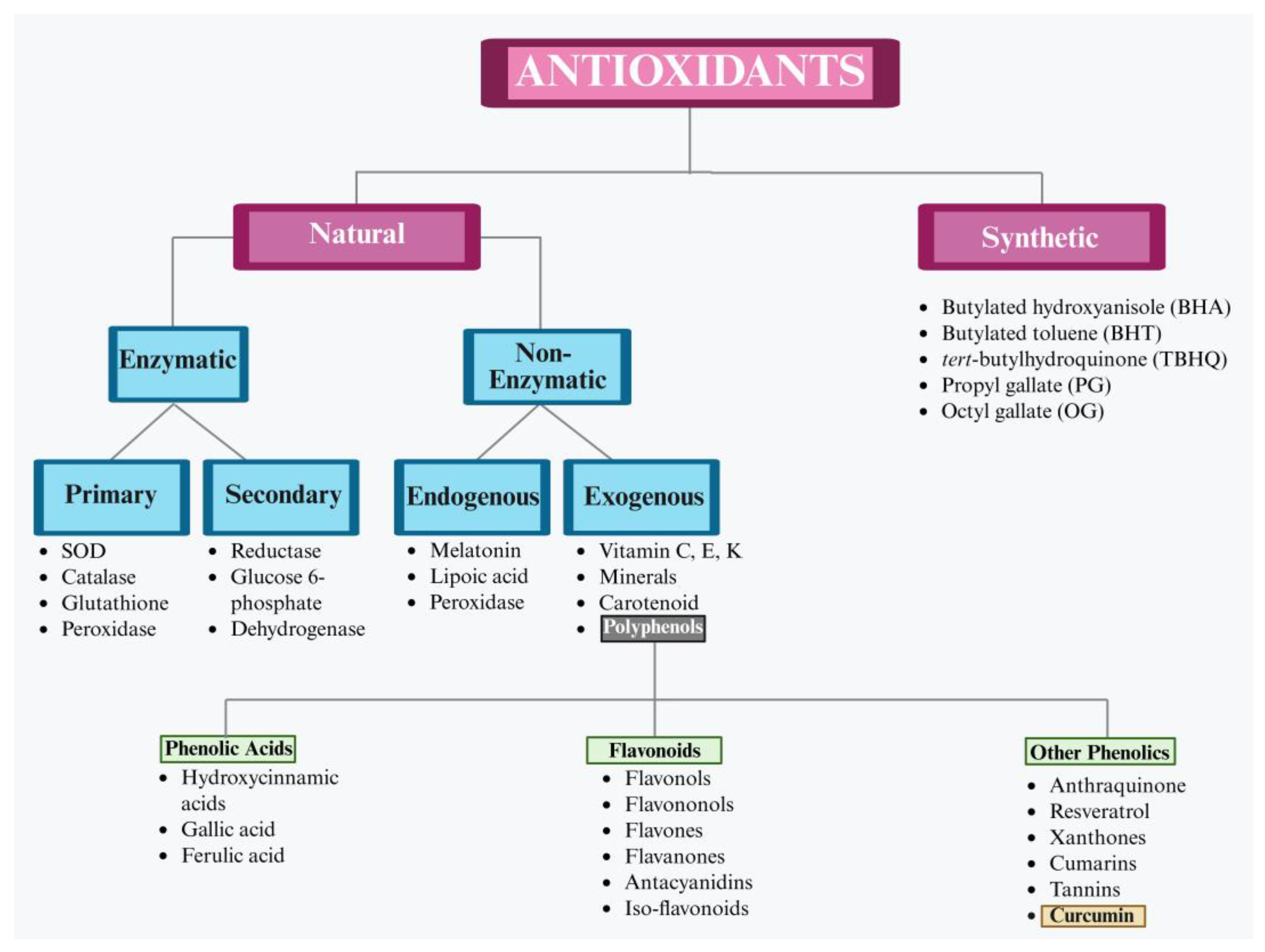 Biology 14 00750 g002 Biology 14 00750 g002