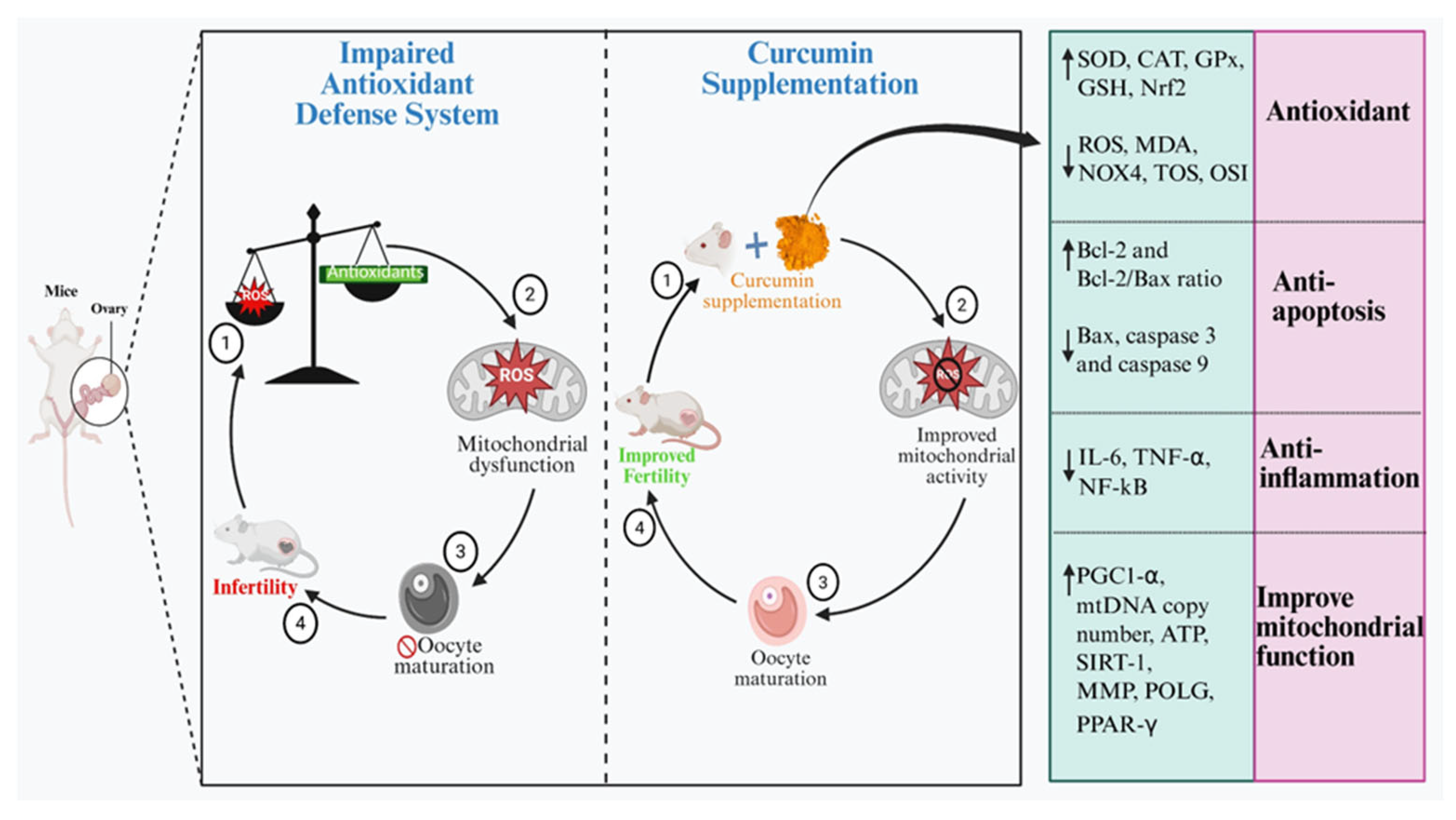 Biology 14 00750 g003 Biology 14 00750 g003