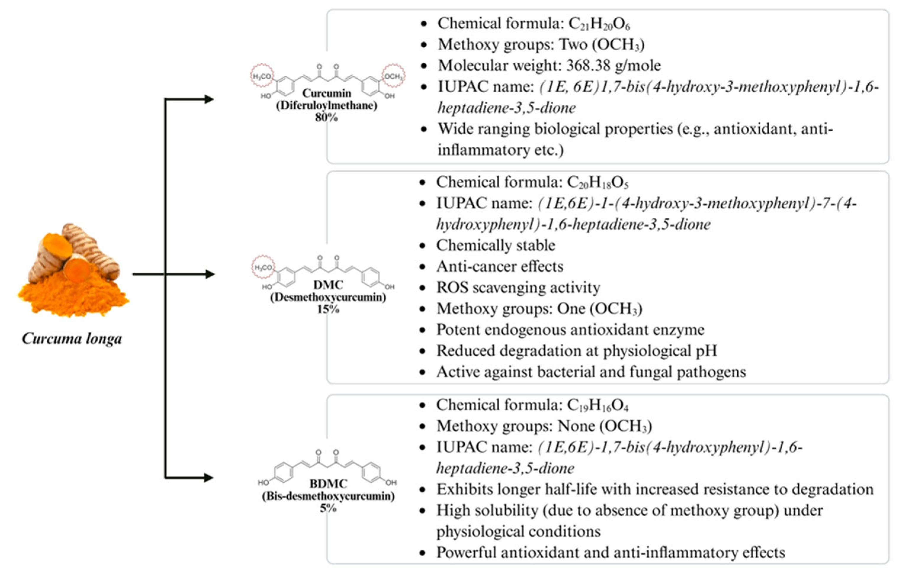 Biology 14 00750 g004 Biology 14 00750 g004