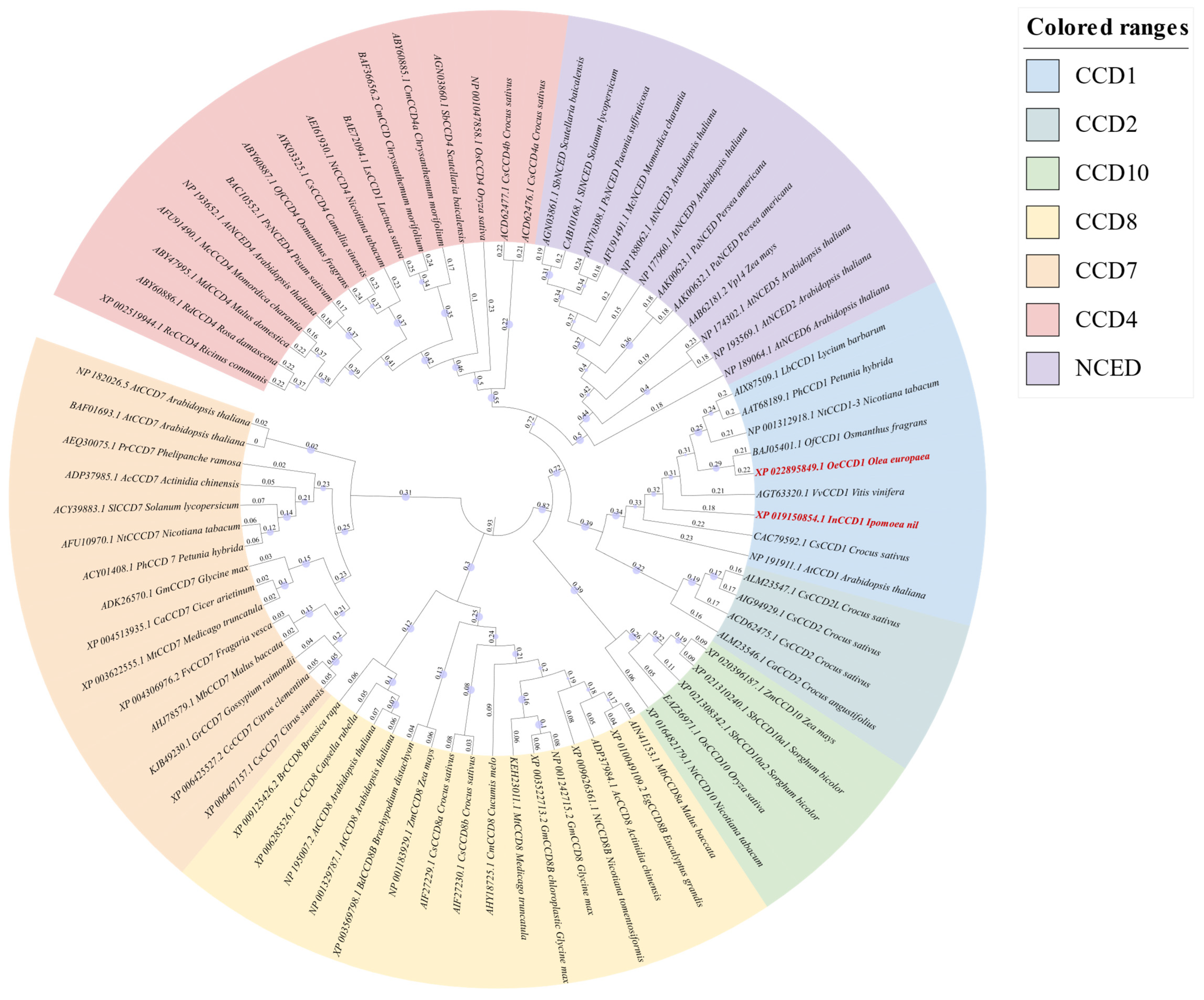 Biology 14 00752 g001