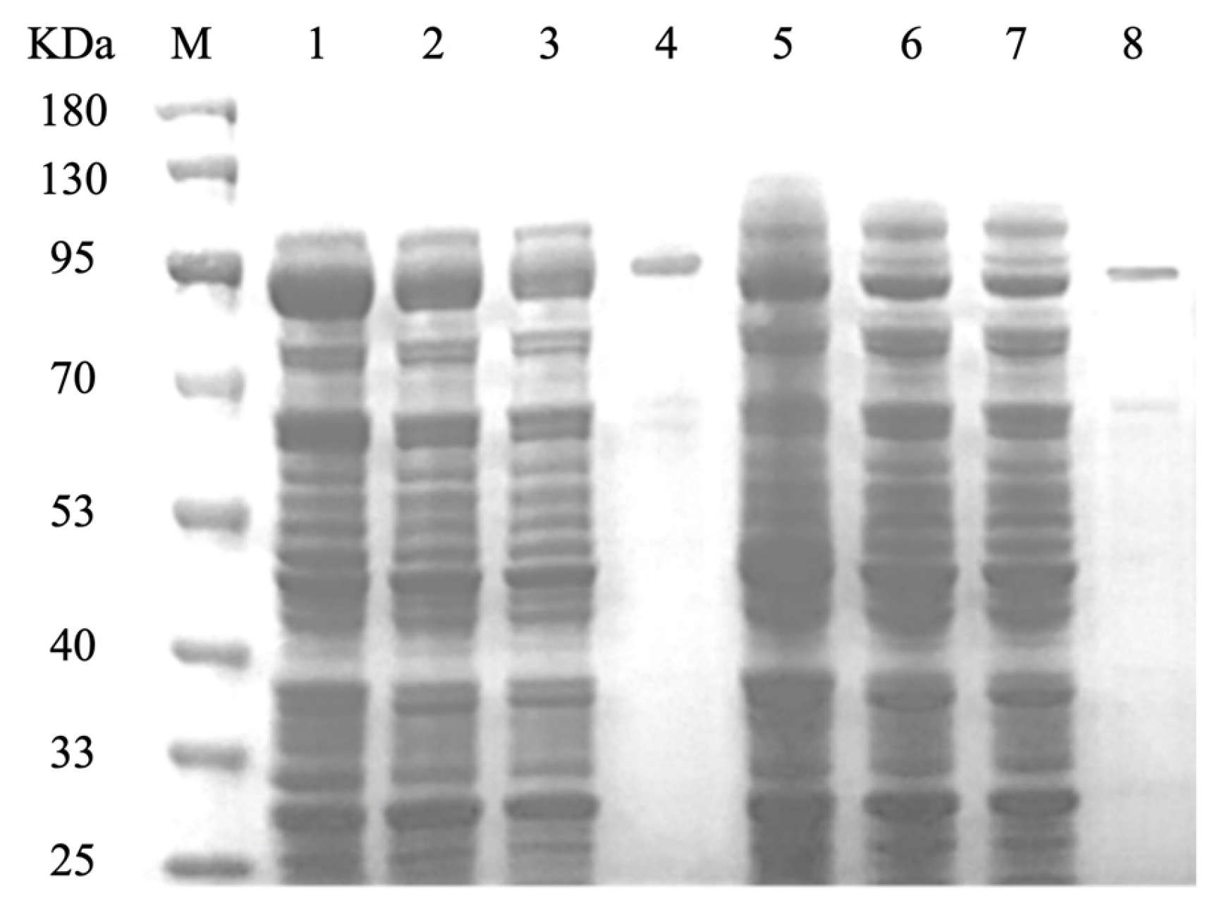 Biology 14 00752 g004