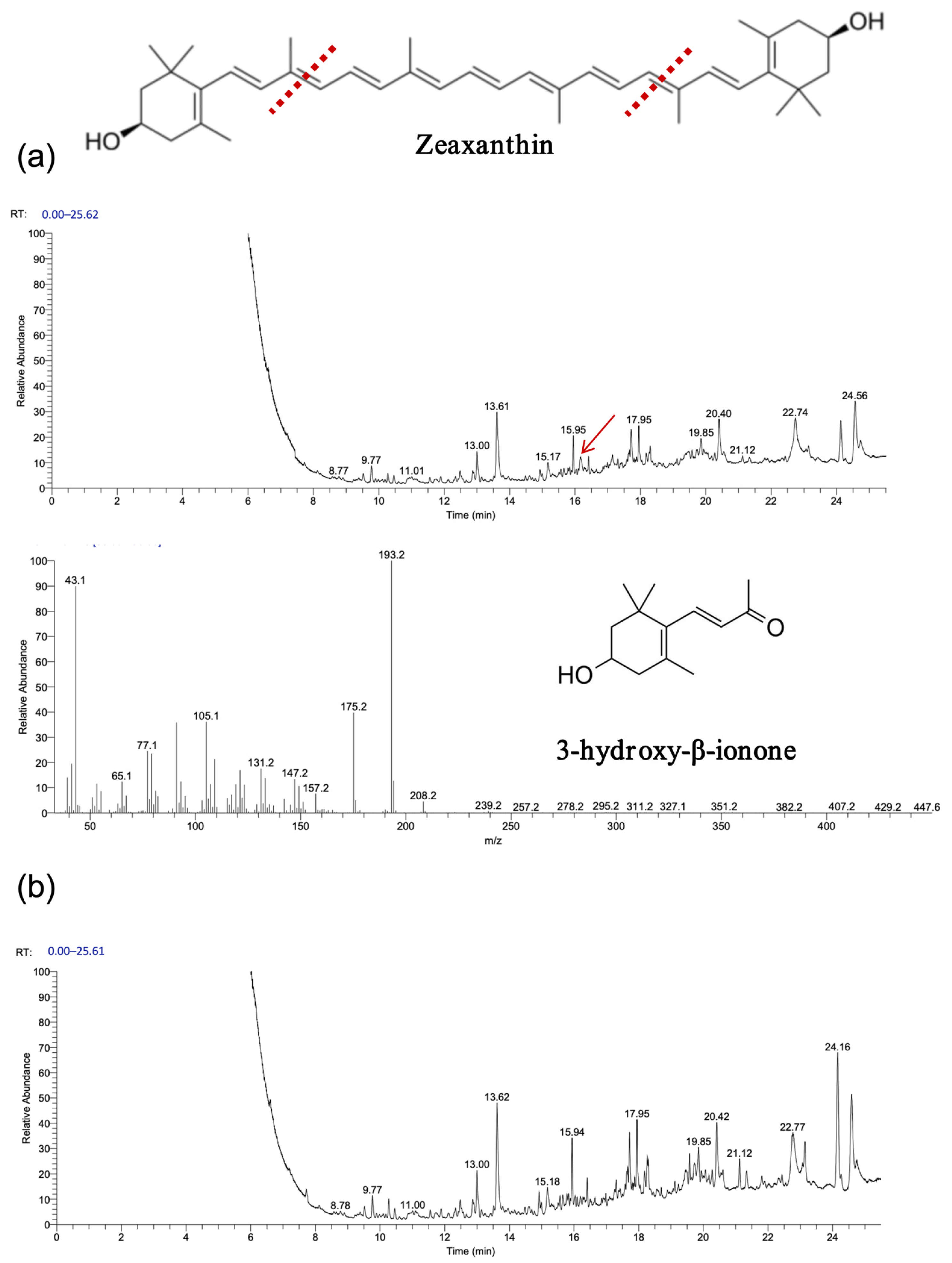 Biology 14 00752 g010