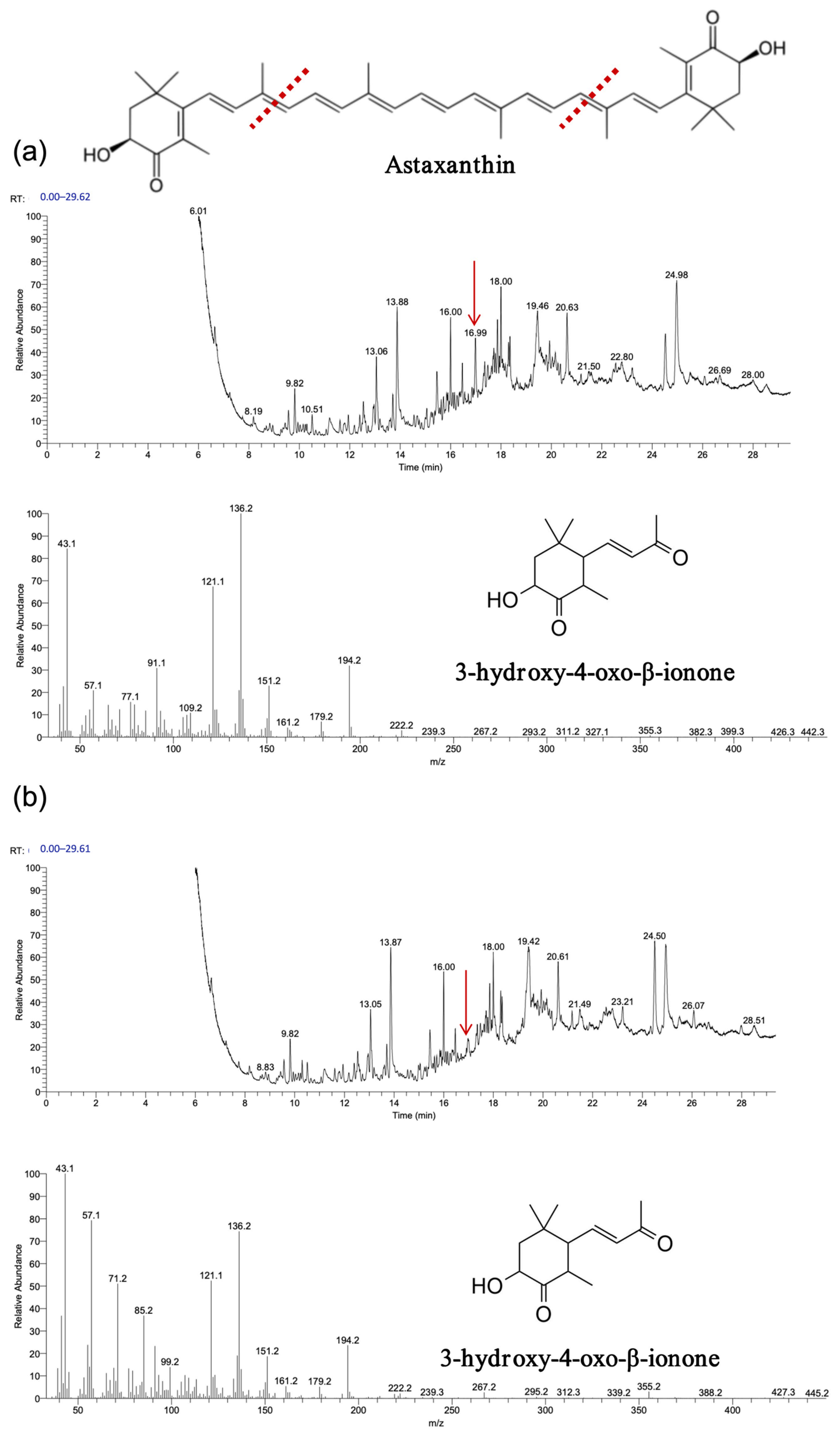 Biology 14 00752 g011