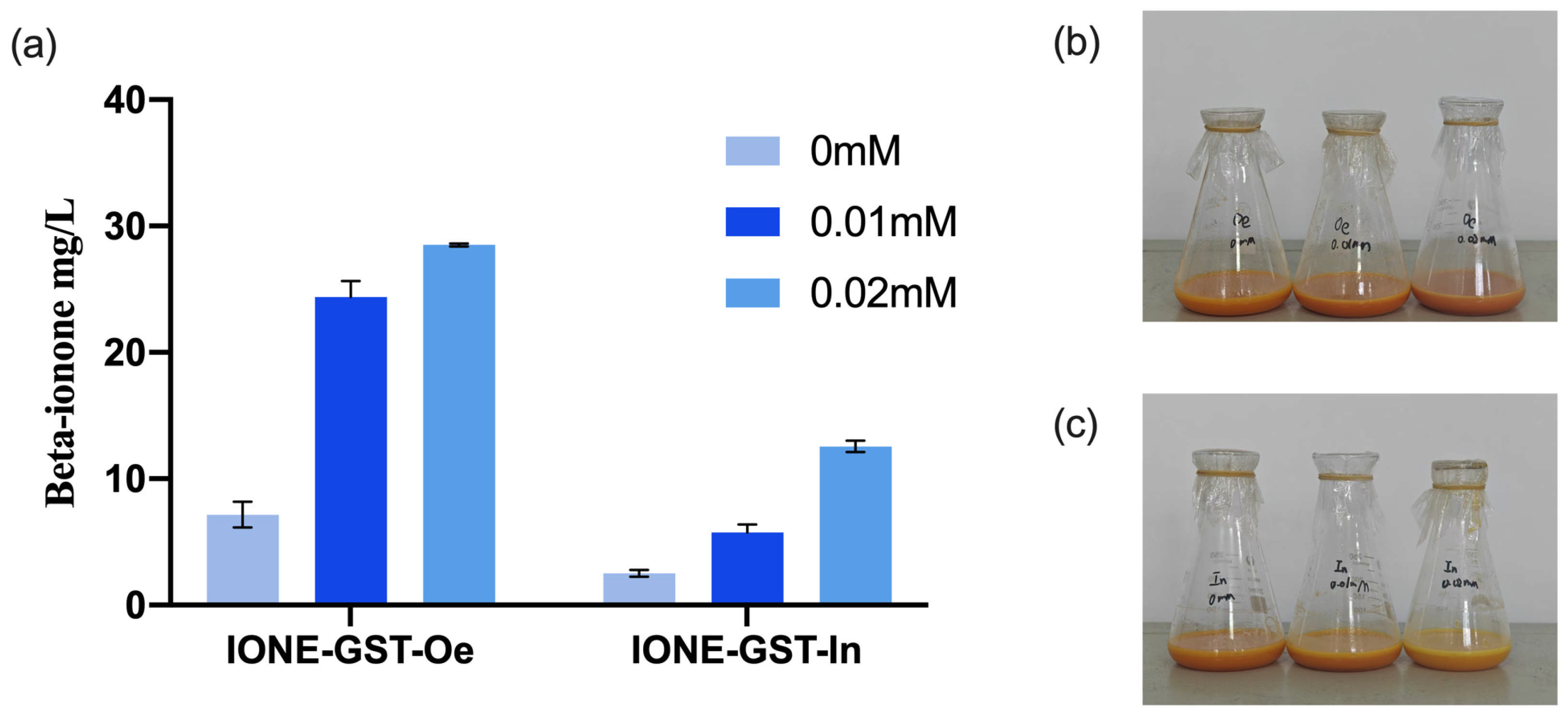 Biology 14 00752 g012