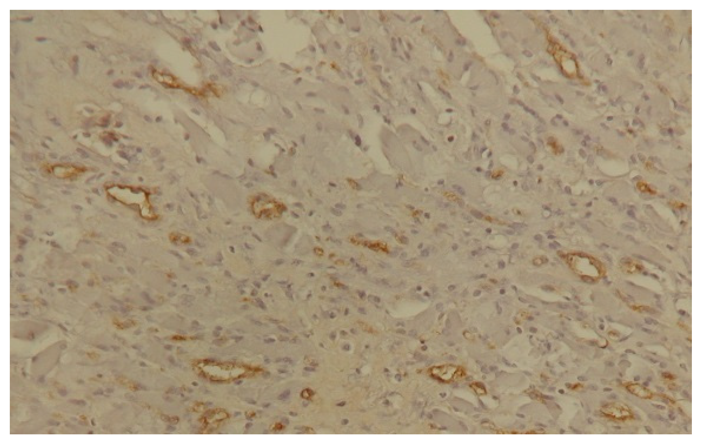 Biology 14 00756 g002