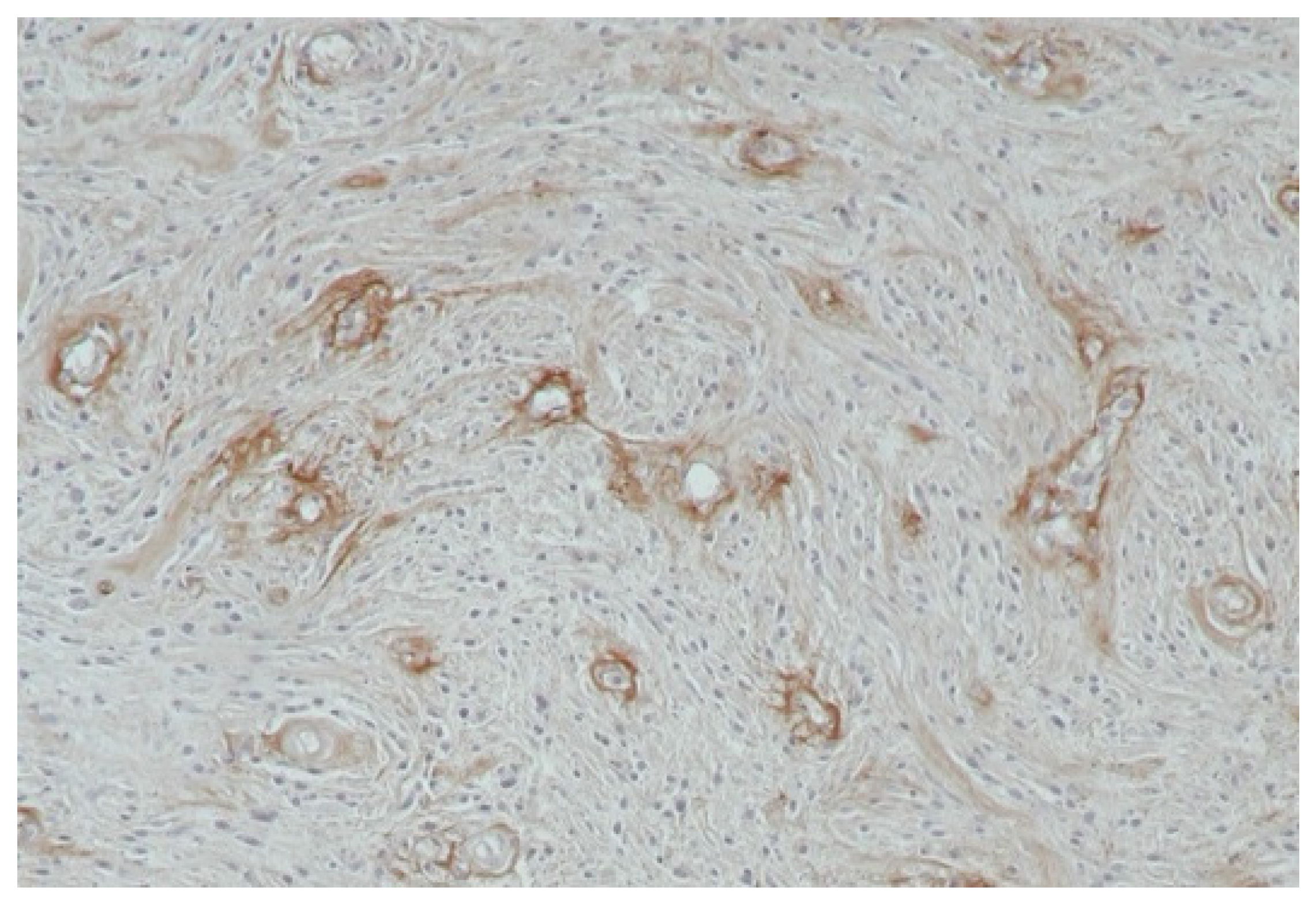 Biology 14 00756 g003