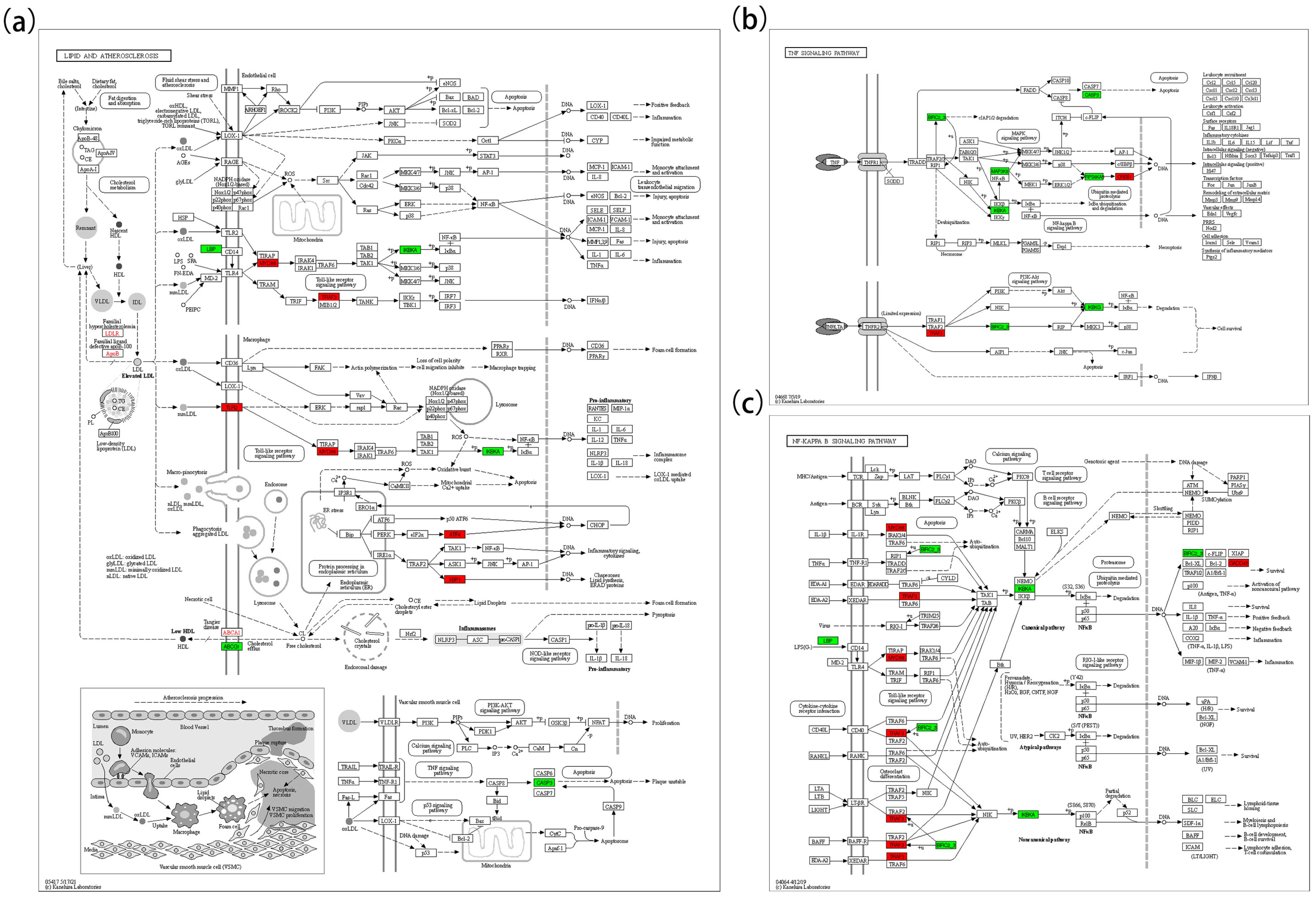 Biology 14 00759 g006