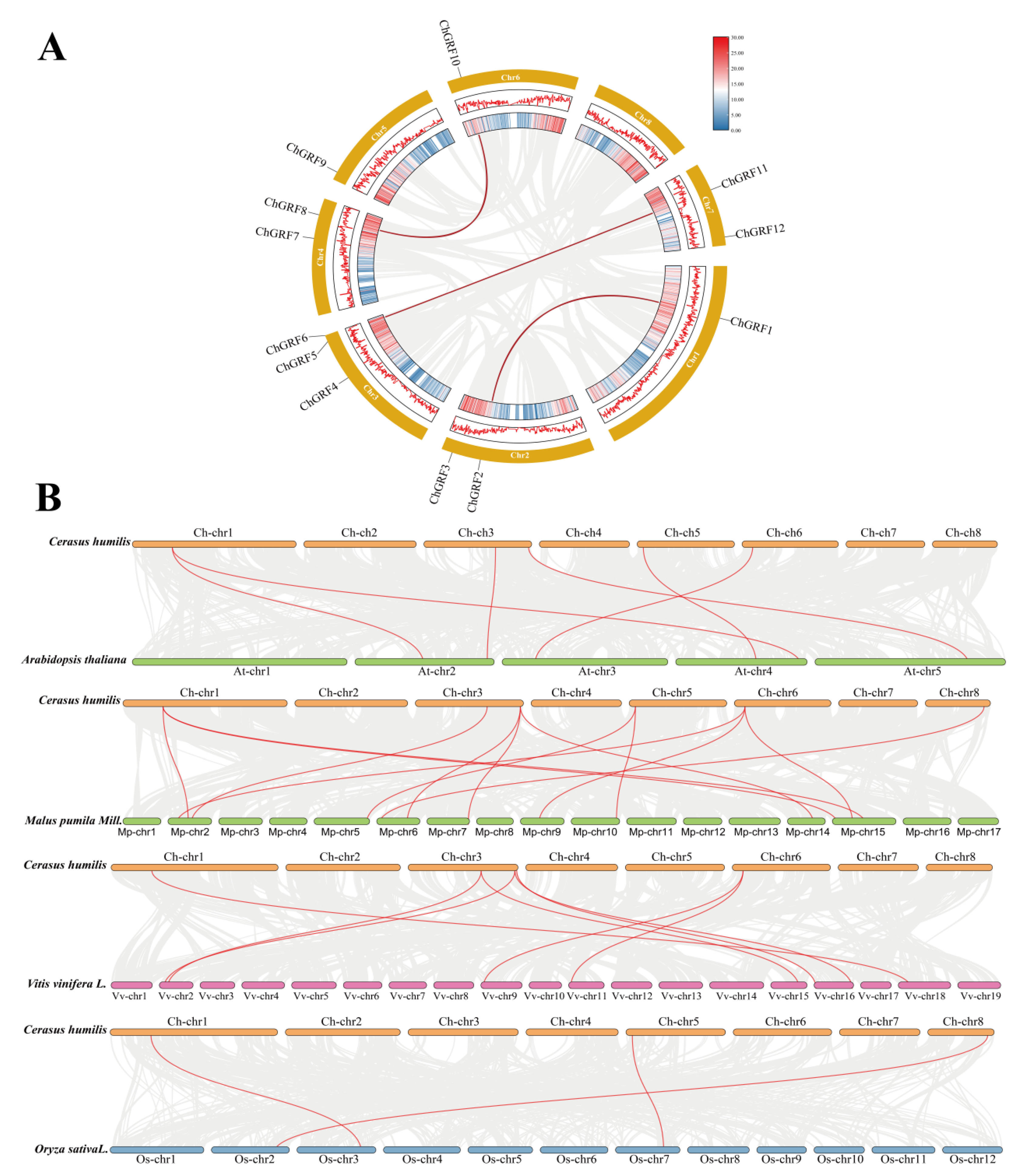 Biology 14 00763 g003