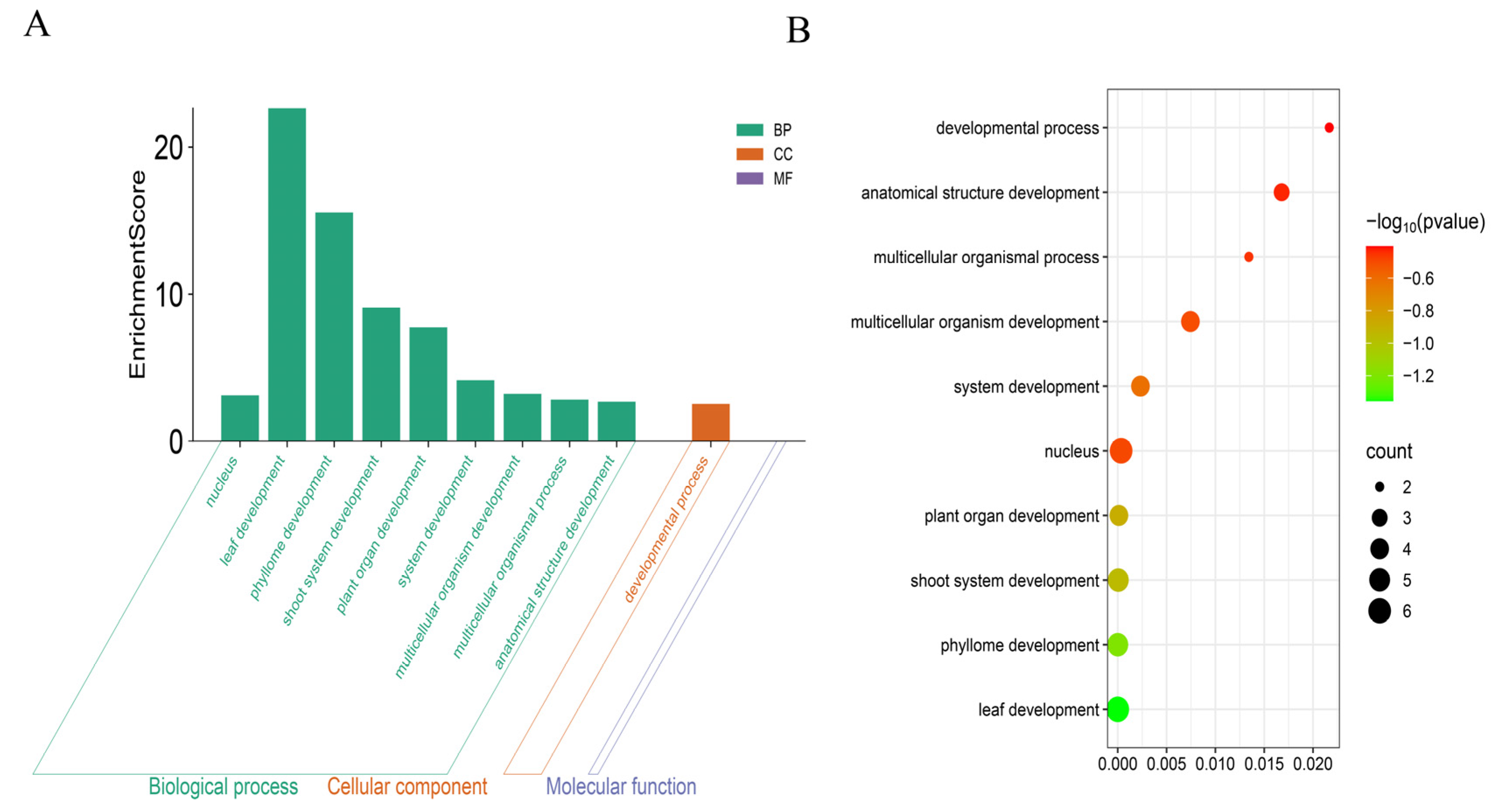 Biology 14 00763 g006