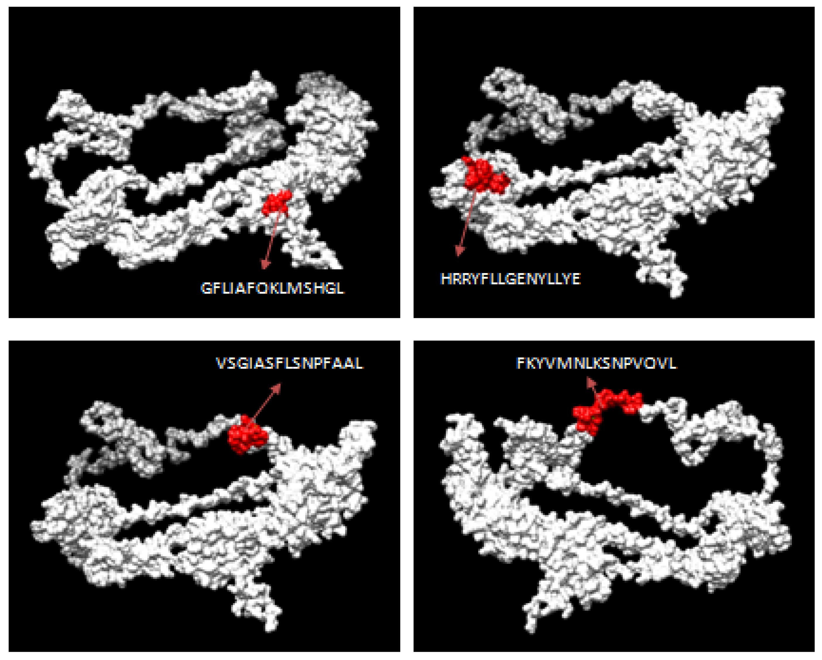 Biology 14 00765 g004