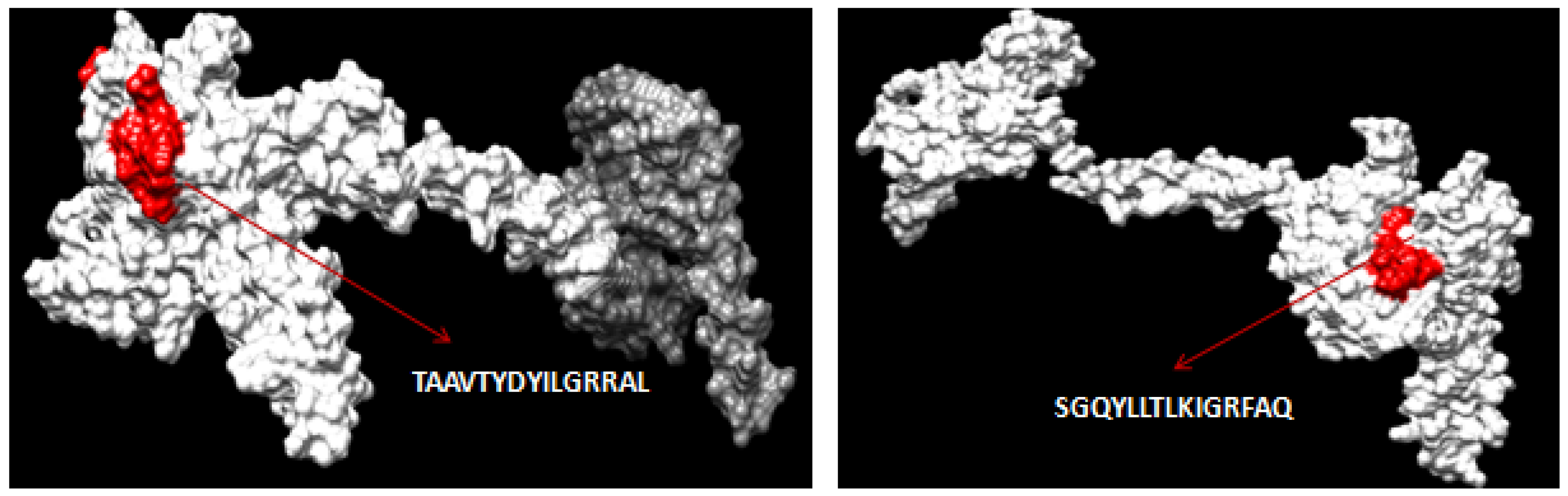 Biology 14 00765 g005