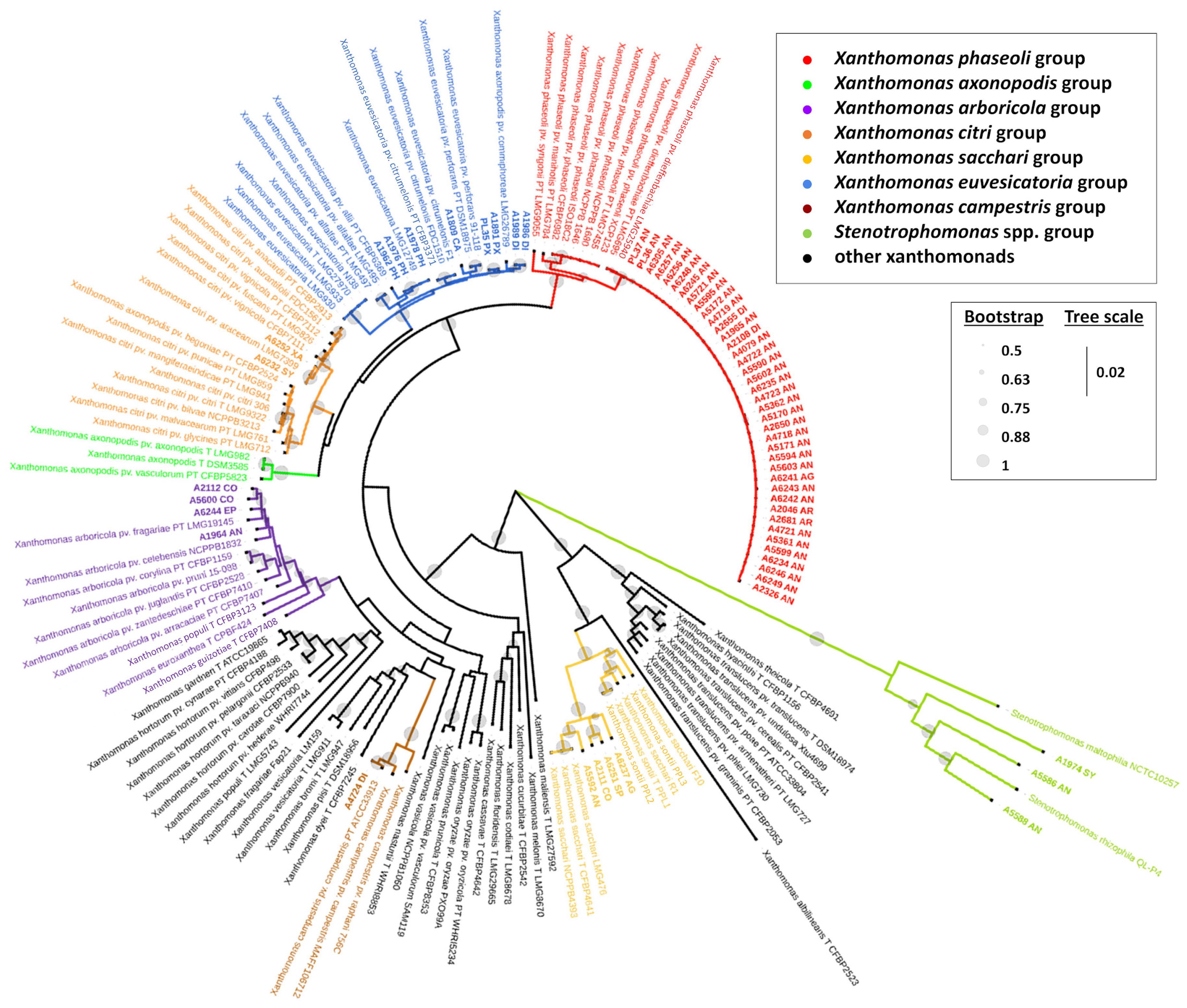 Biology 14 00766 g003