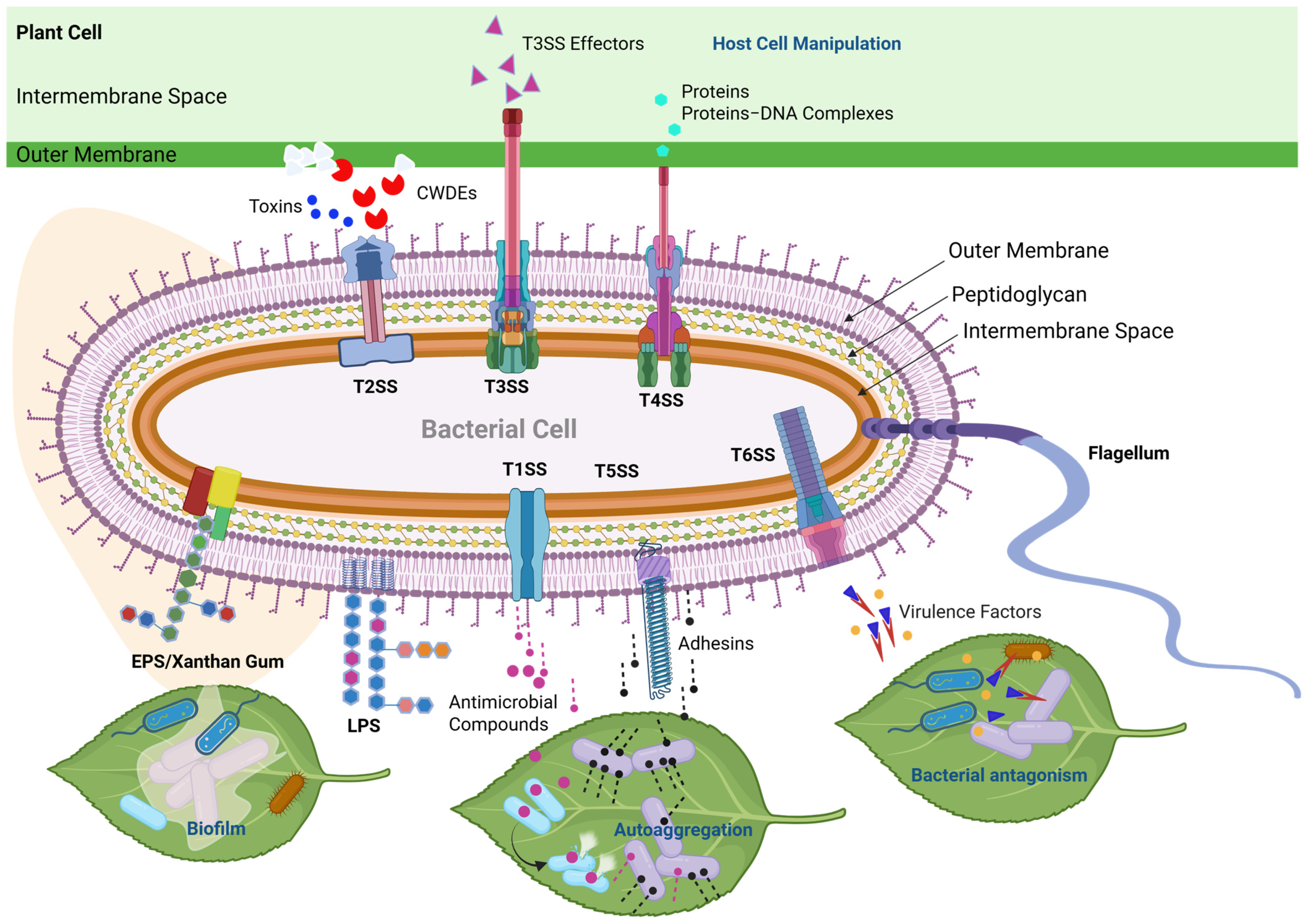 Biology 14 00766 g005