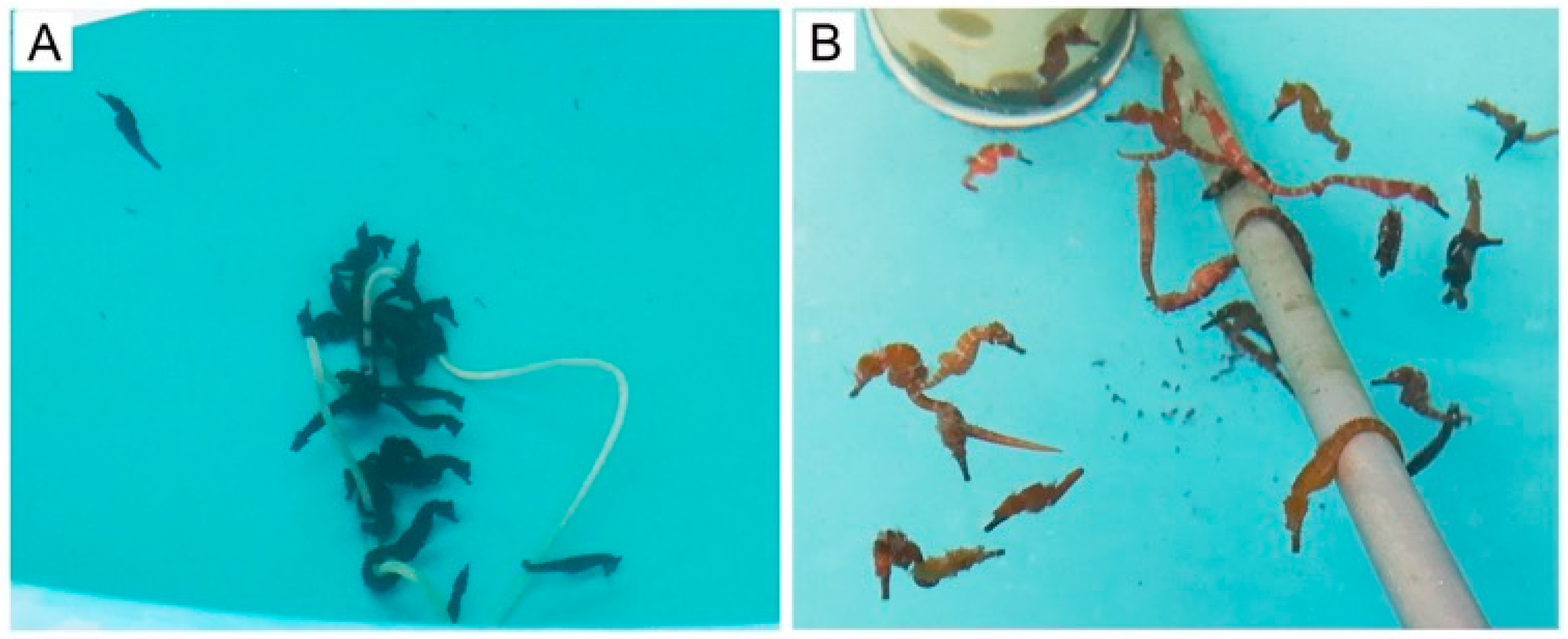 Biology 14 00767 g003