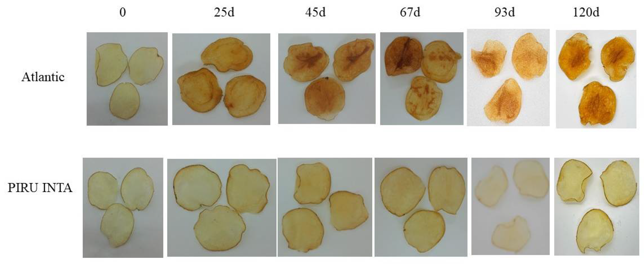 Biology 14 00768 g006