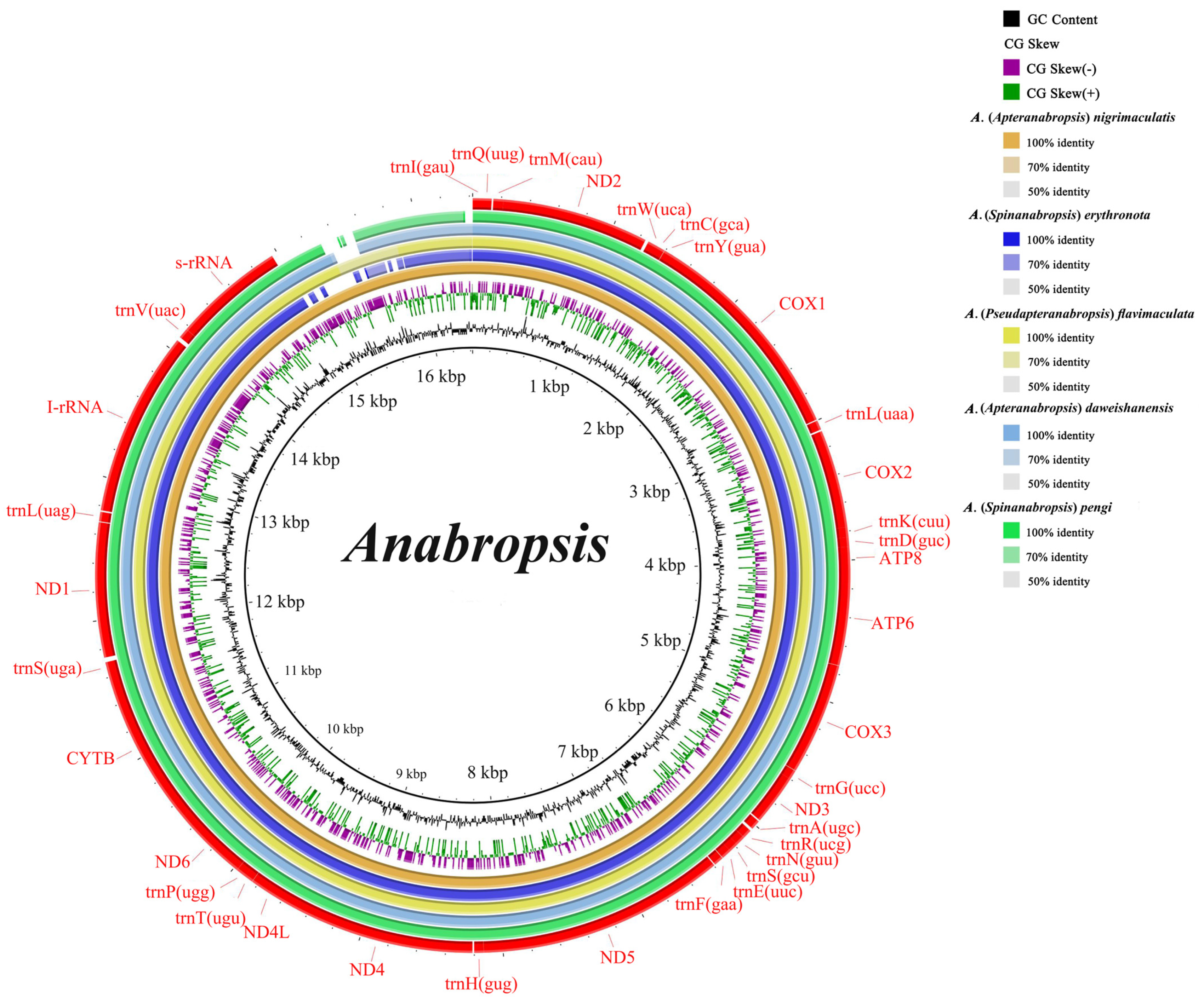 Biology 14 00772 g001