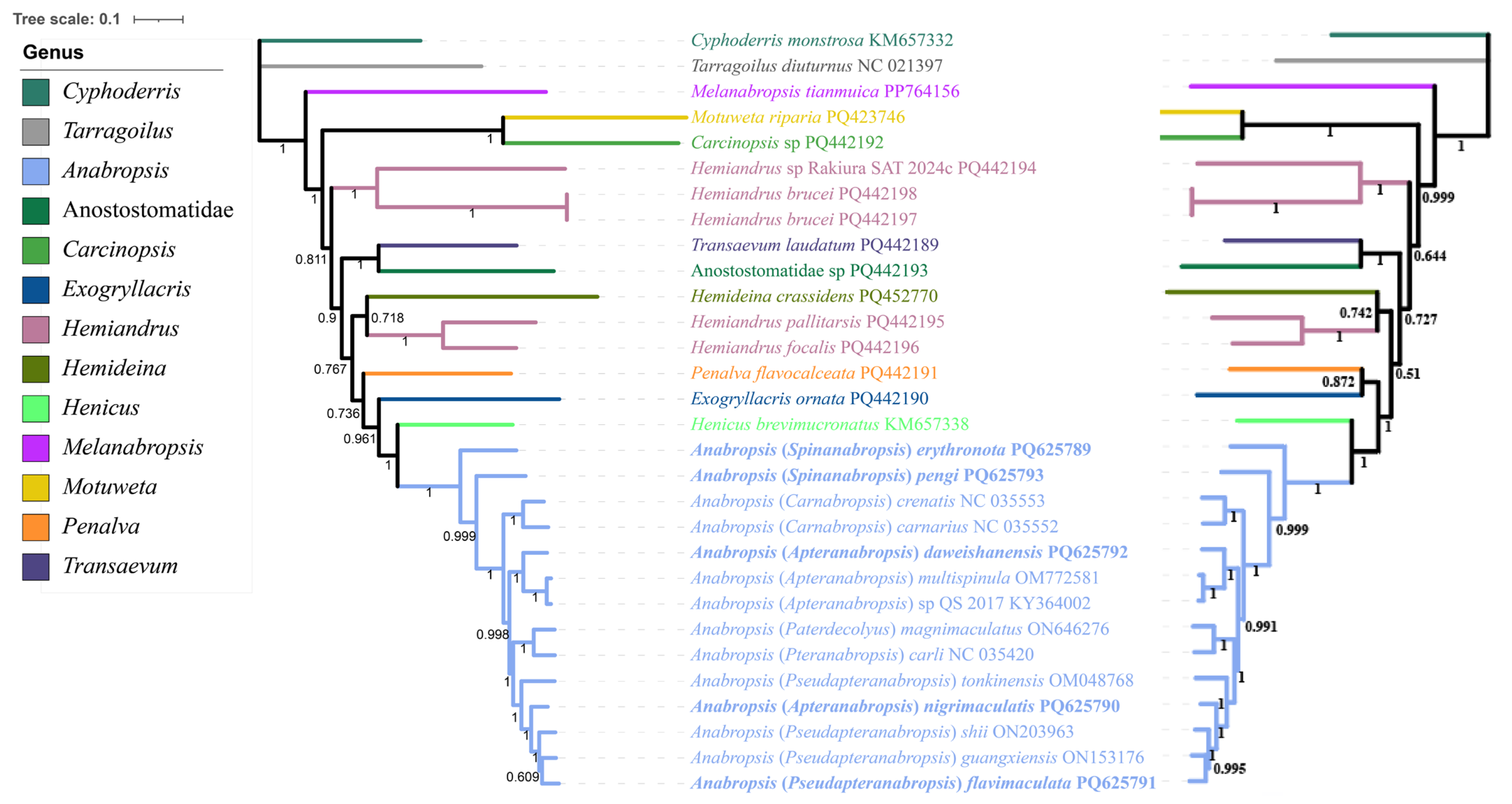 Biology 14 00772 g005