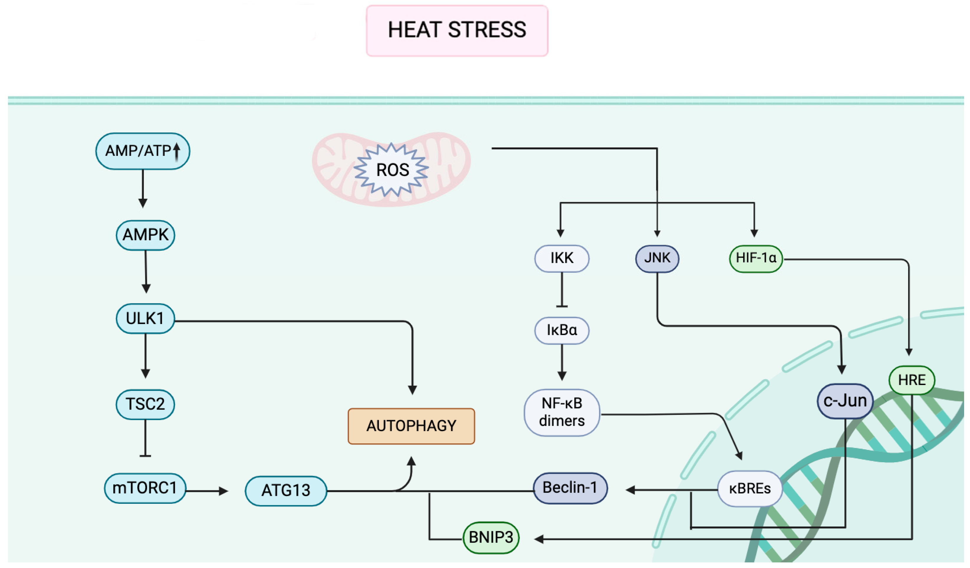 Biology 14 00774 g001