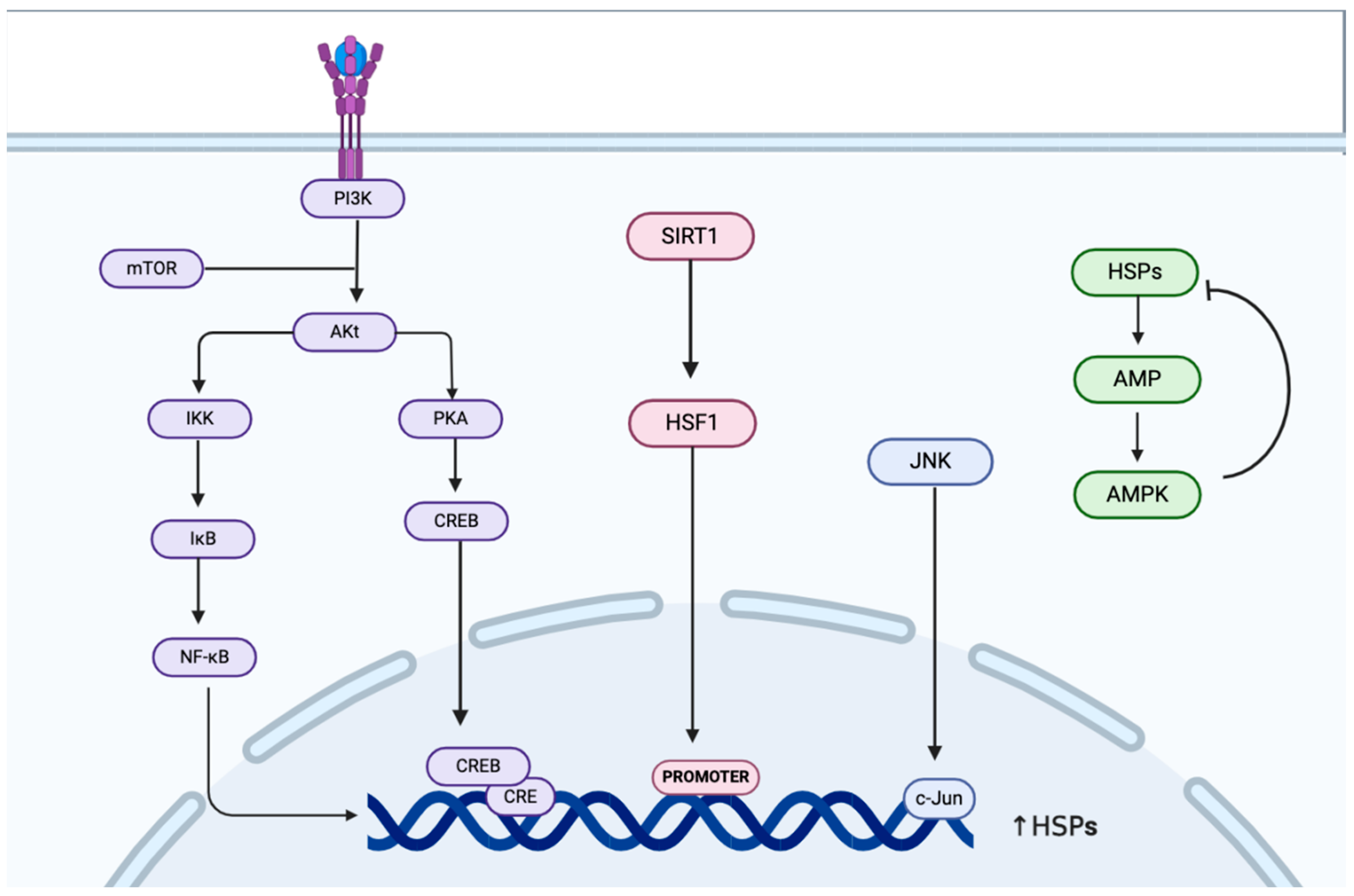 Biology 14 00774 g002