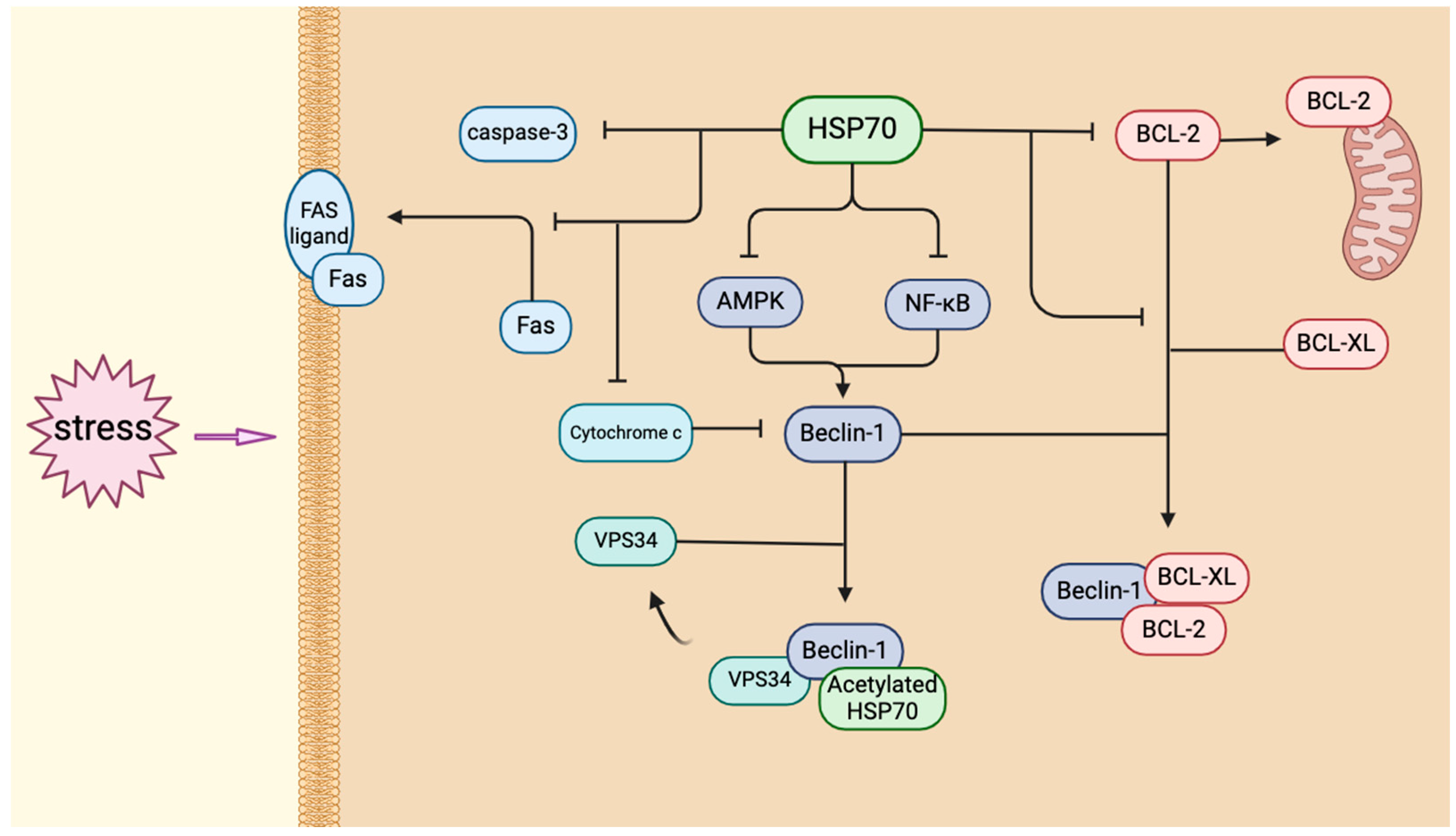 Biology 14 00774 g003