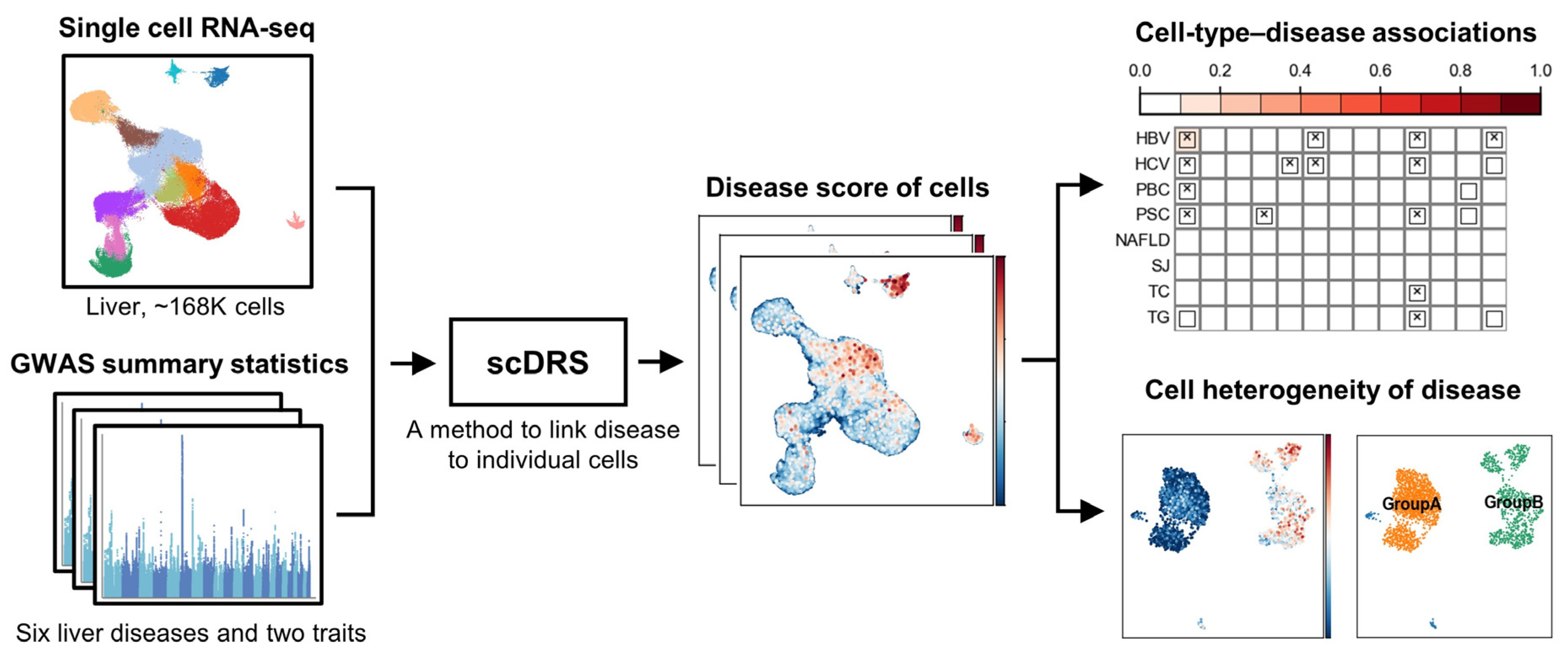 Biology 14 00777 g001